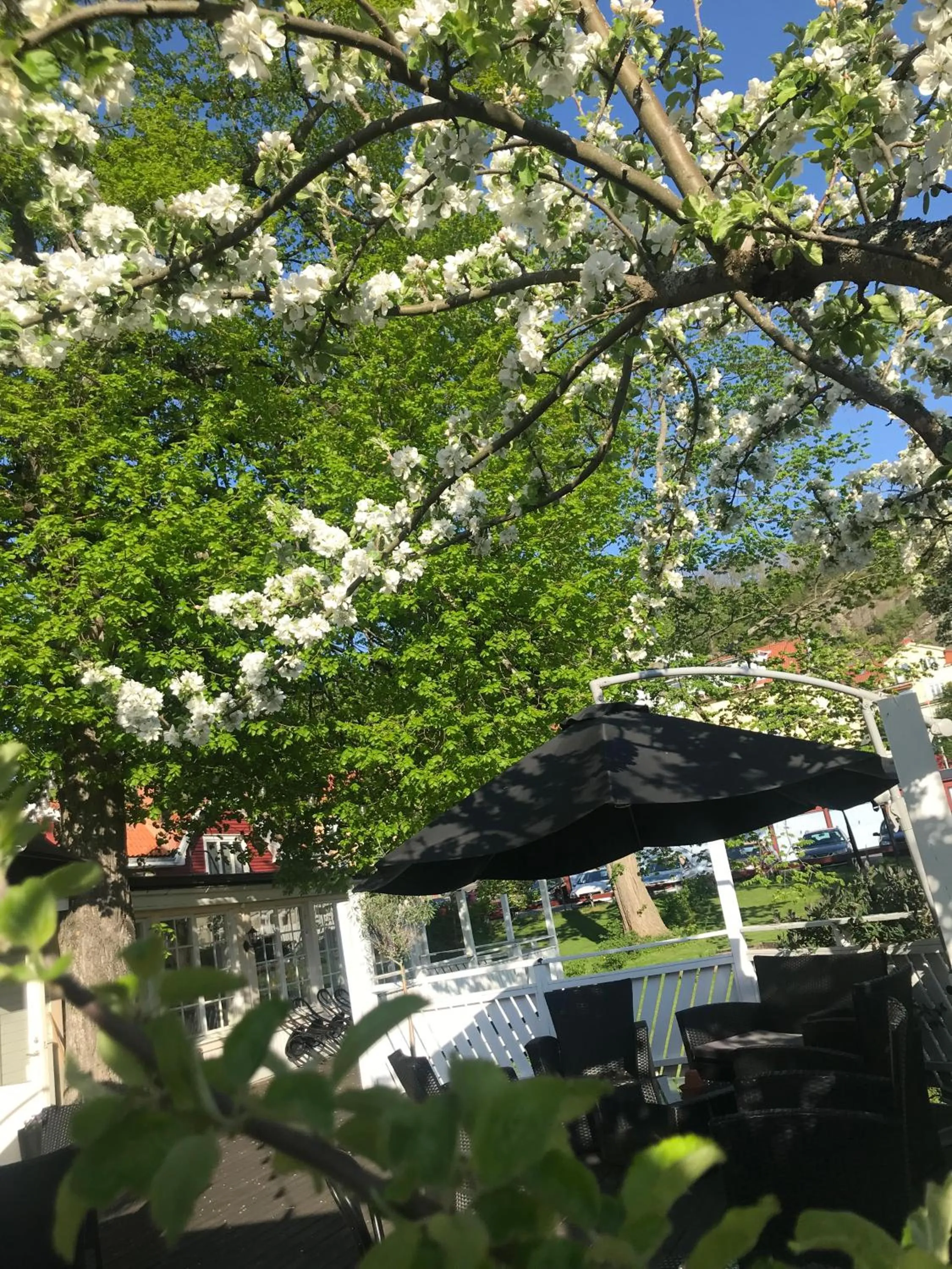 Patio in Grenna Hotell