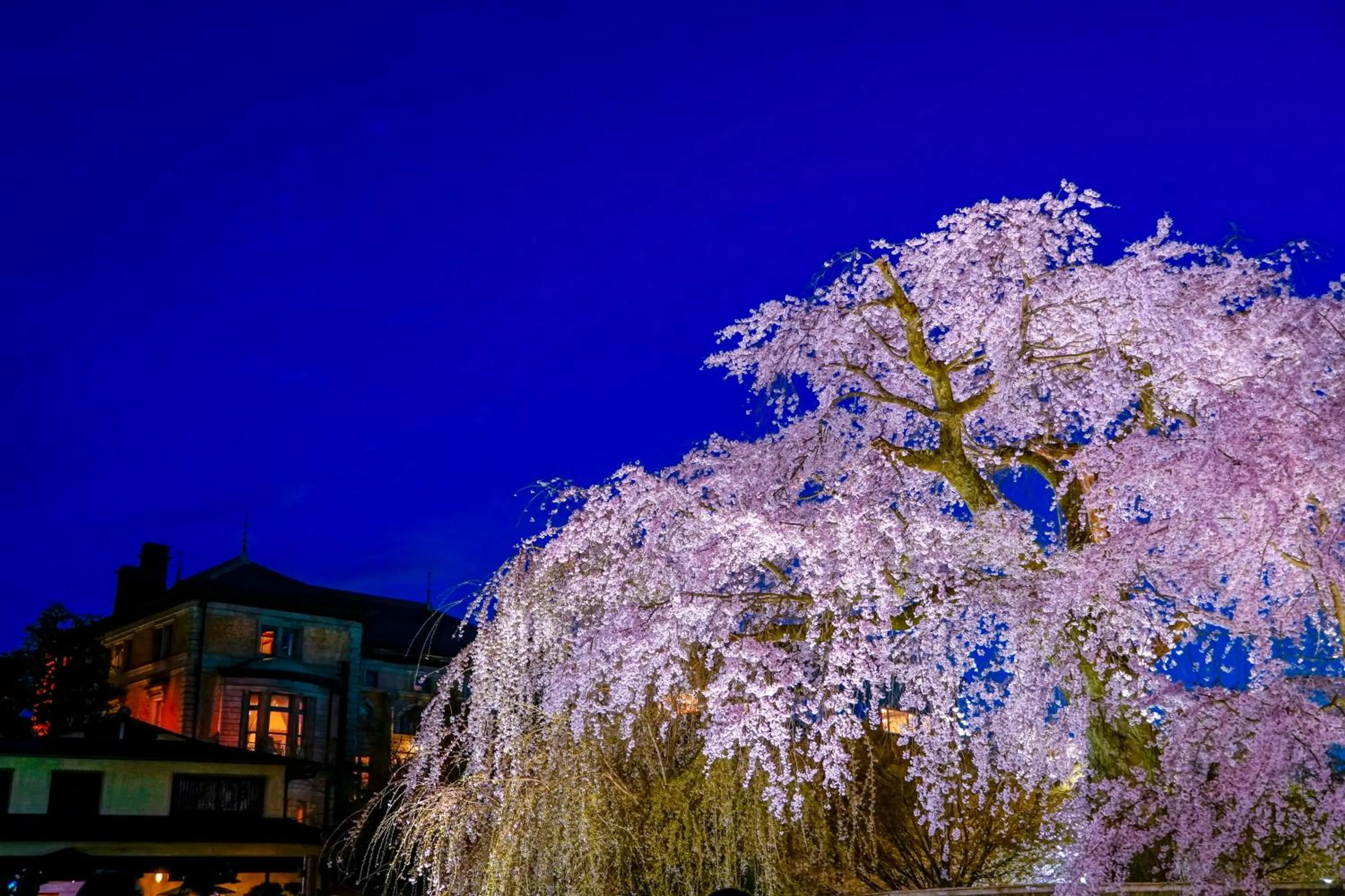 Spring in Hotel Chourakukan Kyoto Gion 長楽館 京都