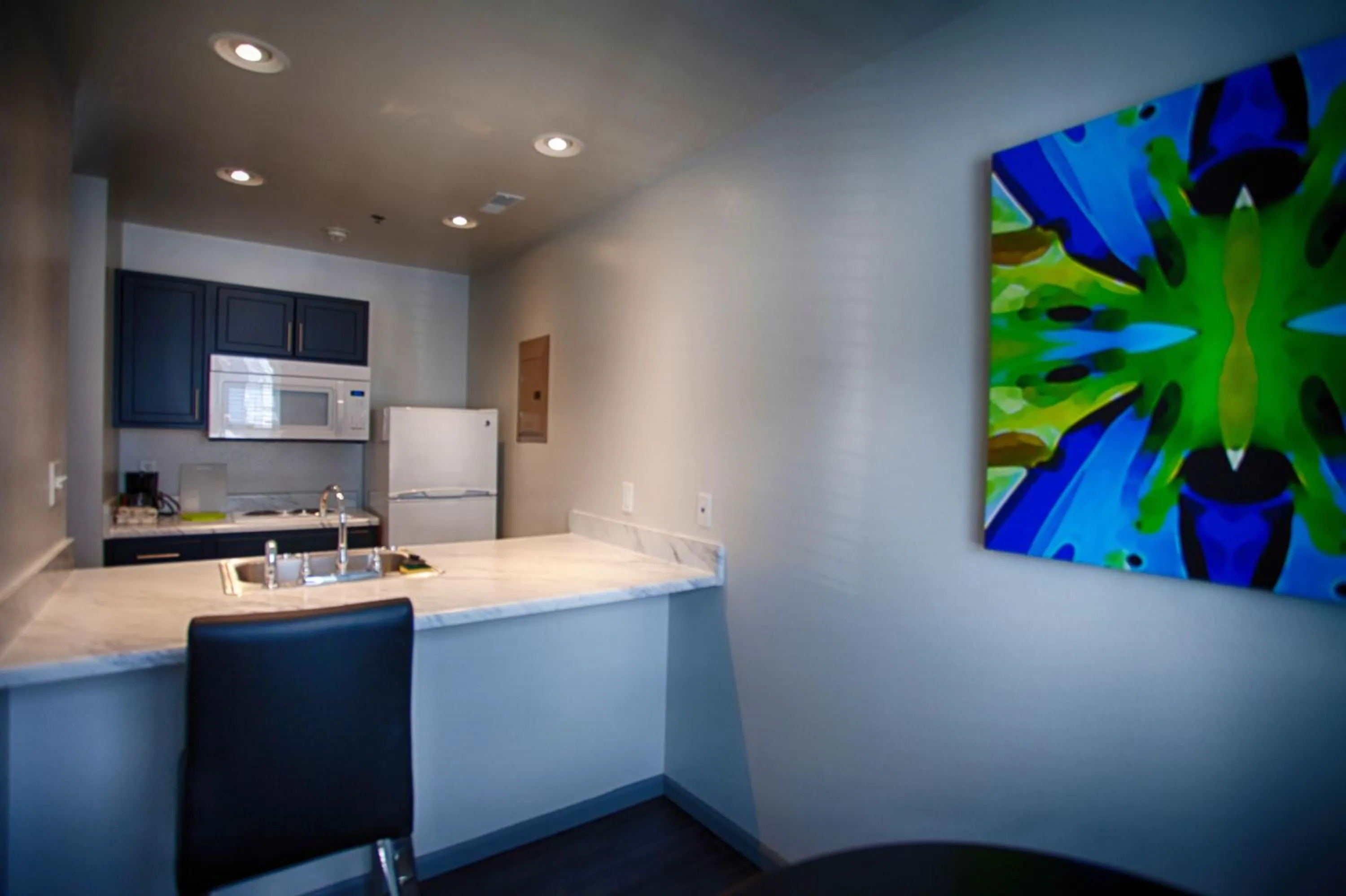 Kitchen or kitchenette in Z Loft Extended Stay Hotel