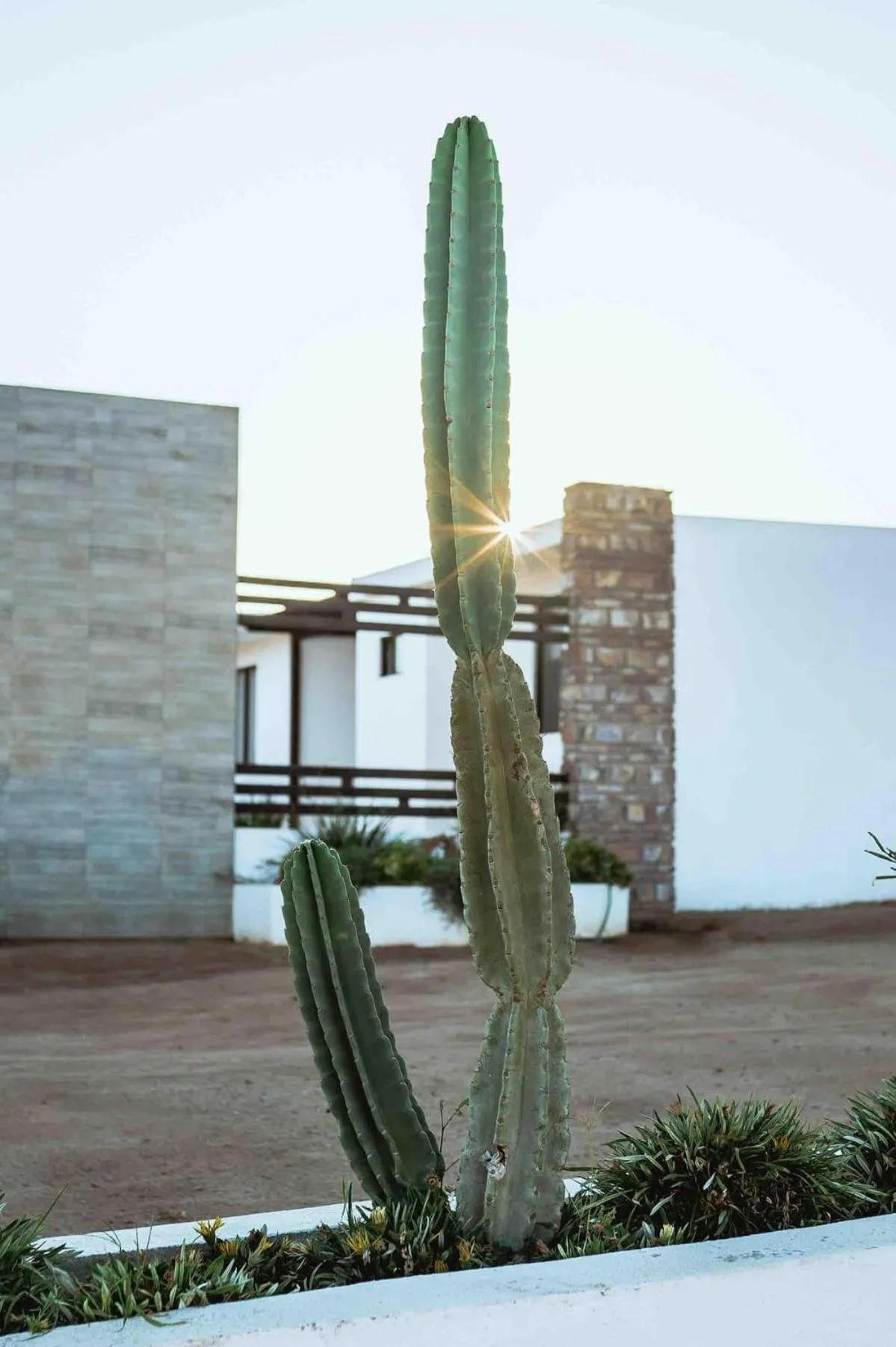 Collins Village Hotel Boutique