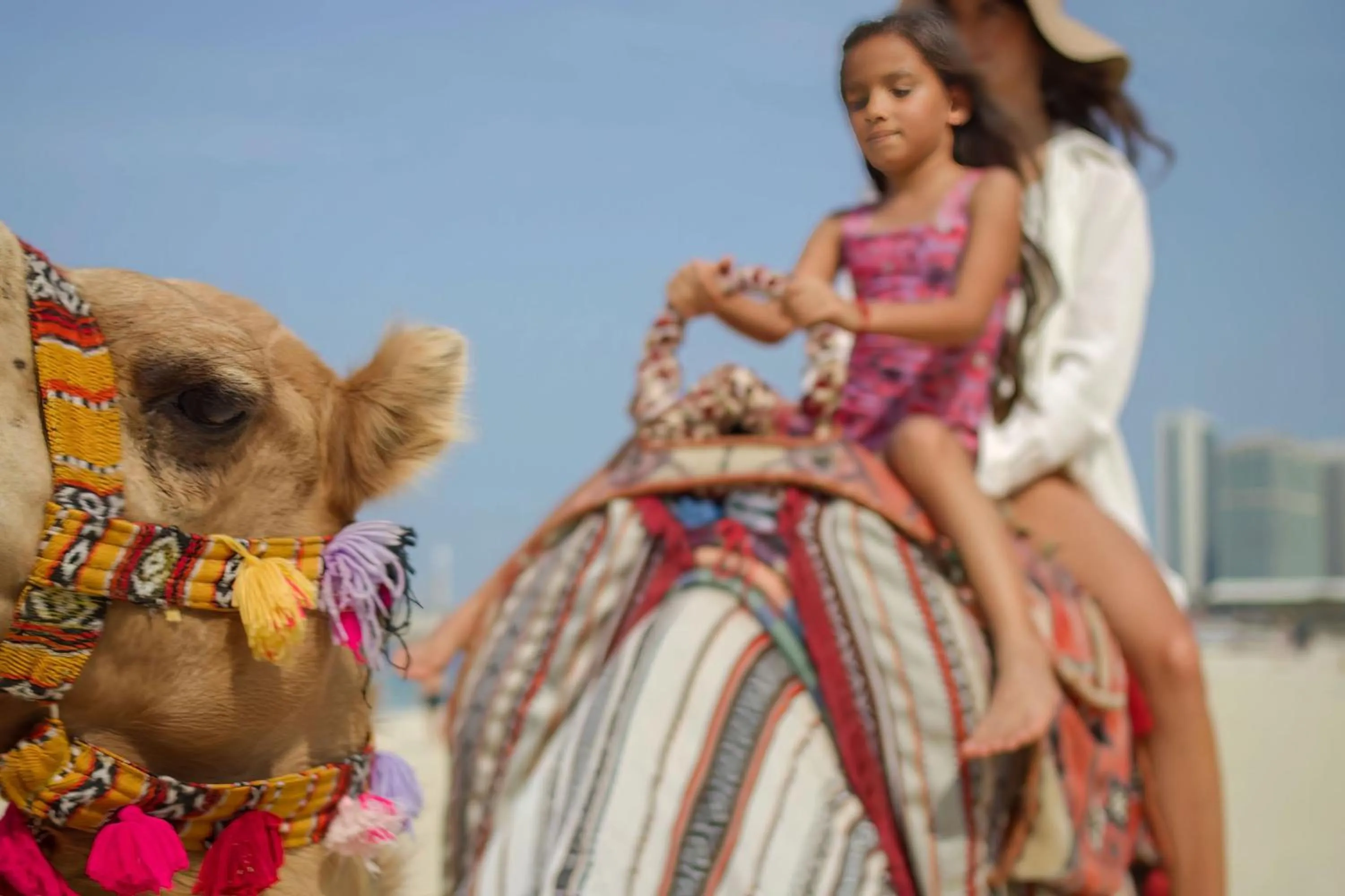 Other in The Ritz-Carlton, Dubai