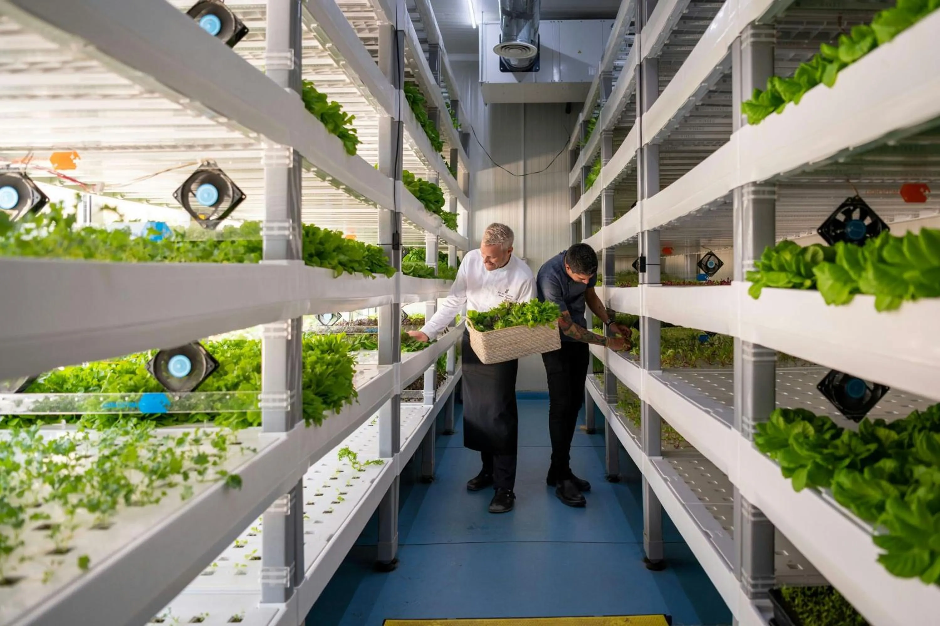 Other in The Ritz-Carlton, Dubai