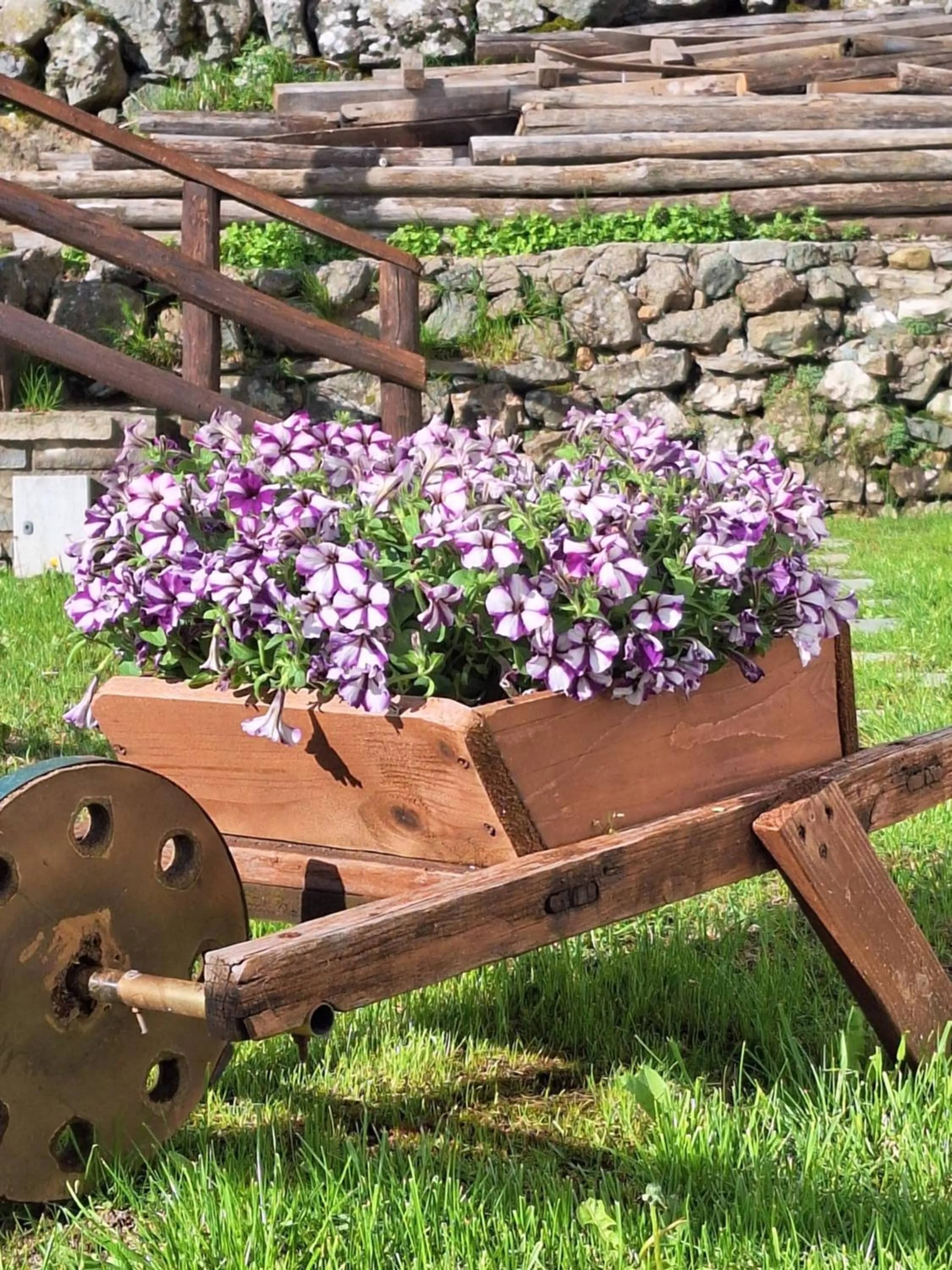 Garden in B&B La Soldanella