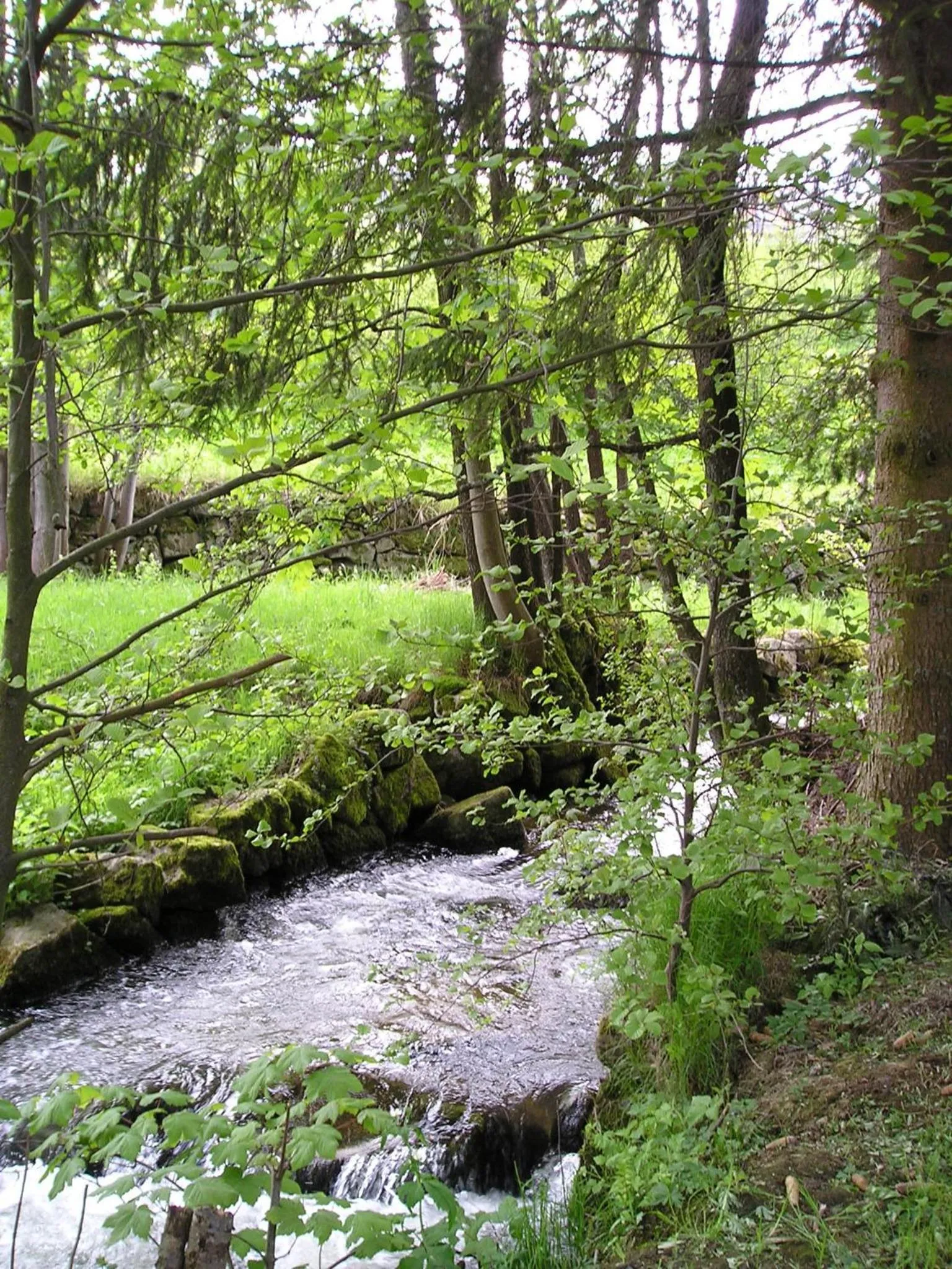 Natural landscape in Logis Hôtel Restaurant La Tête Des Faux