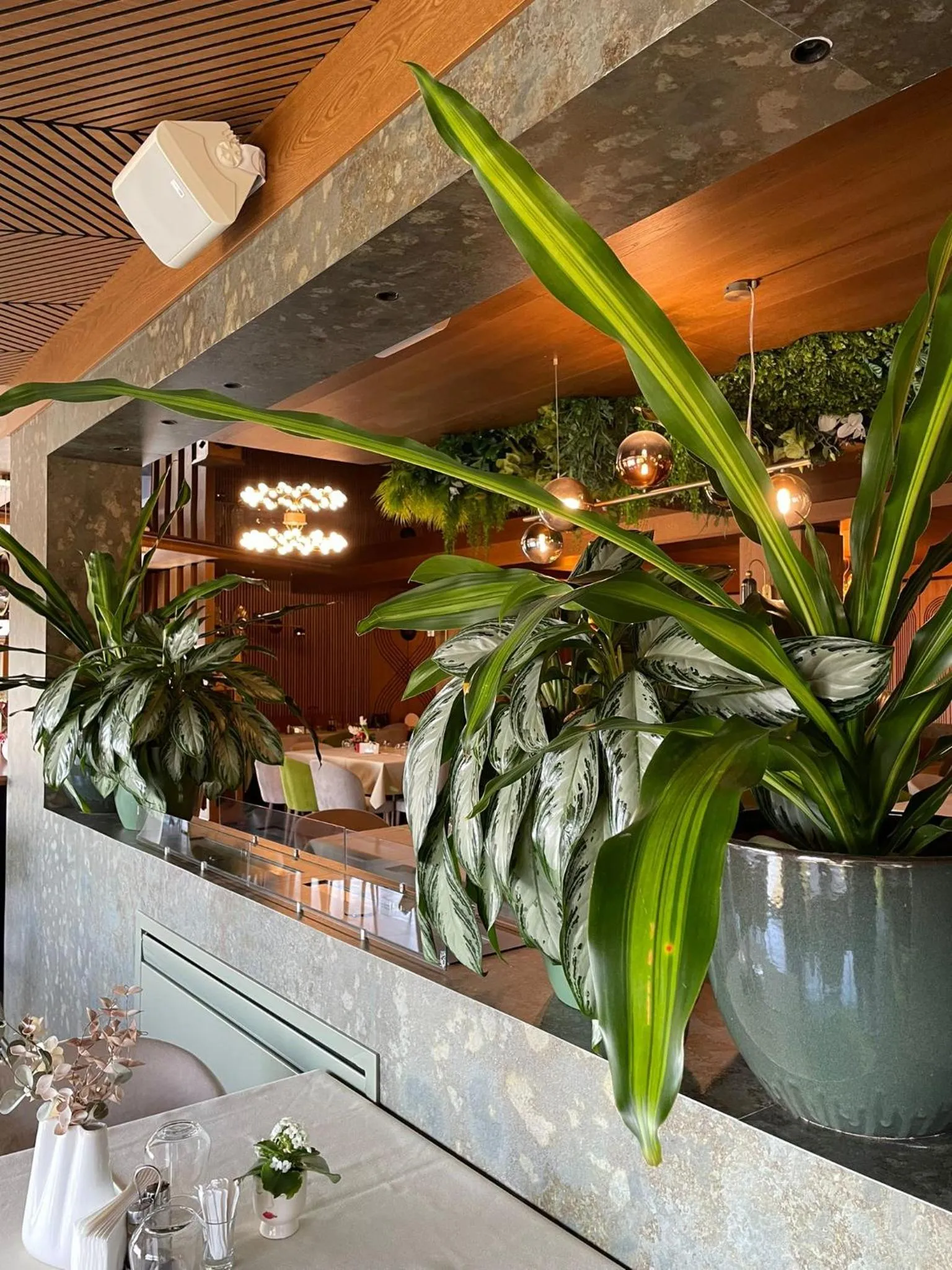 Complex Turistic Creanga Resort & Spa