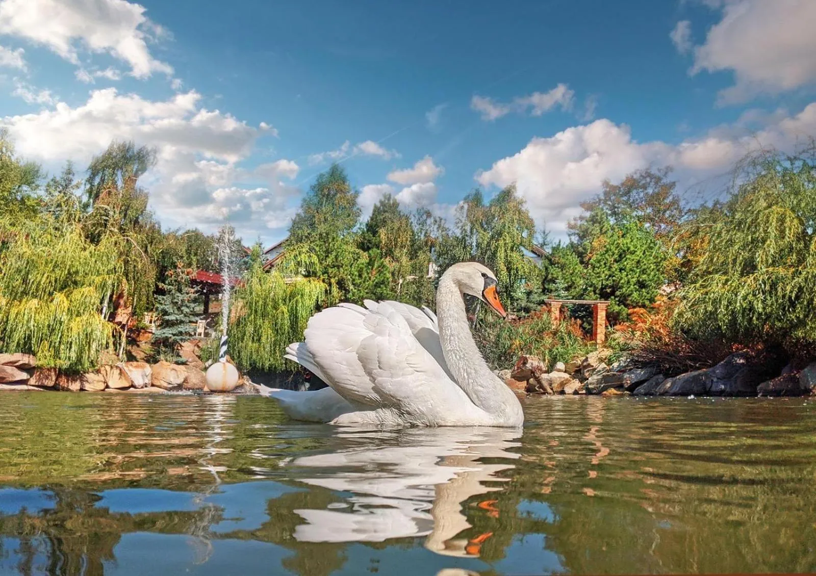 Lake view in Complex Turistic Creanga Resort & Spa