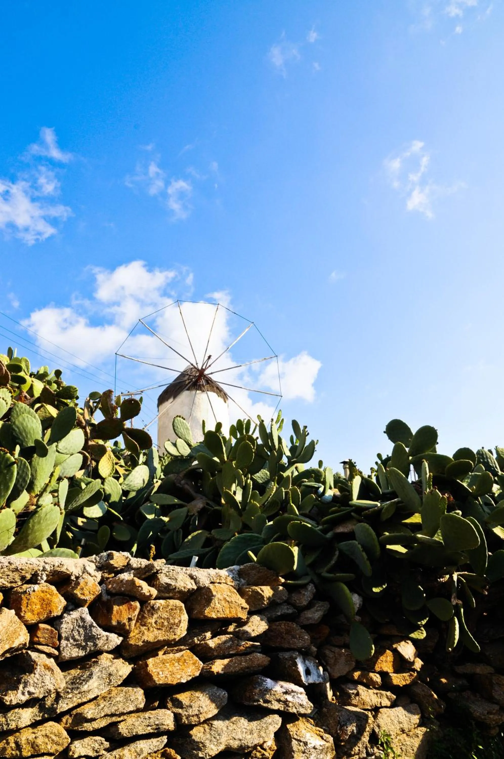 Natural landscape in Mykonos Gem