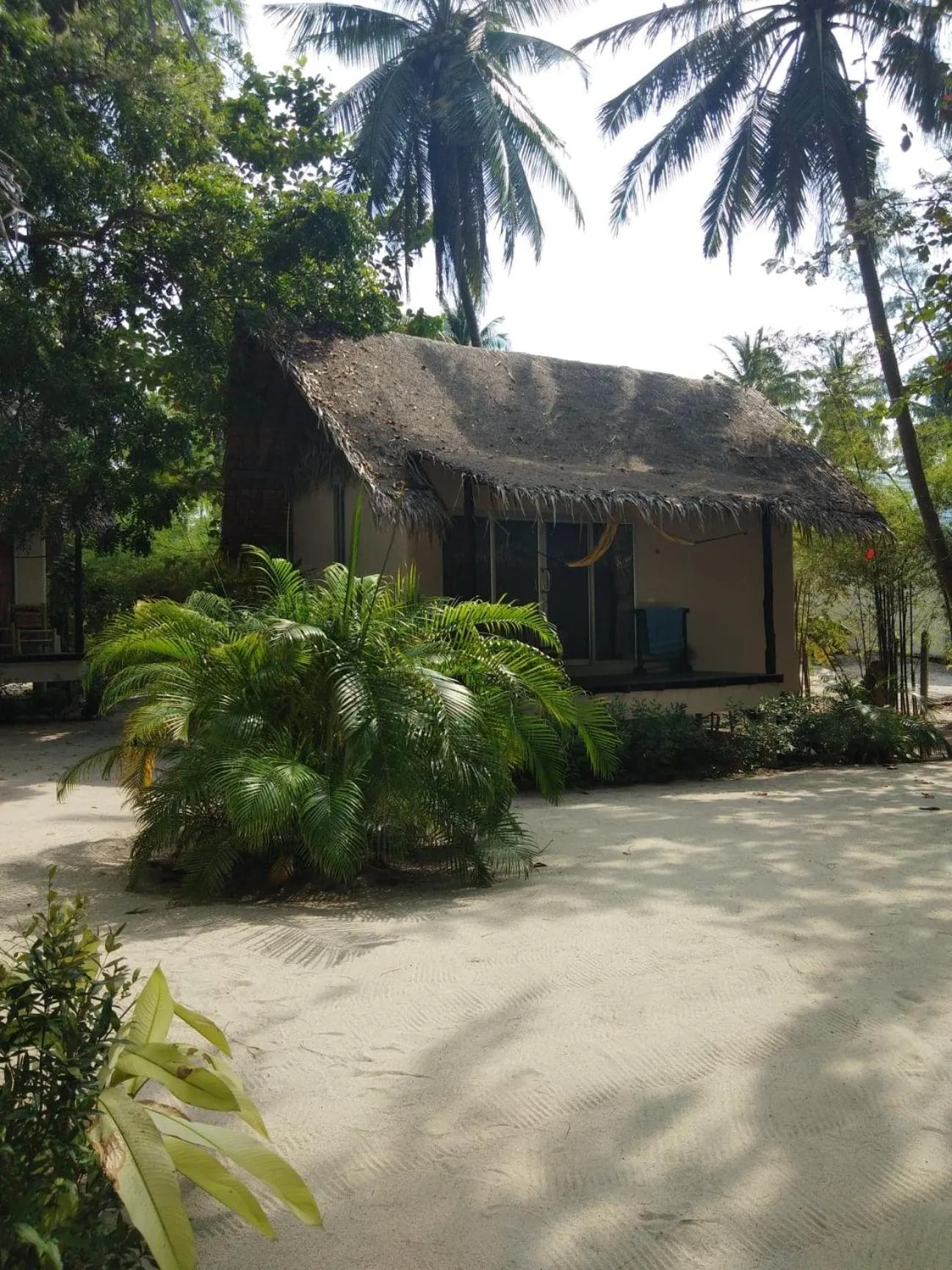 Garden in Angkana Bungalows adults only
