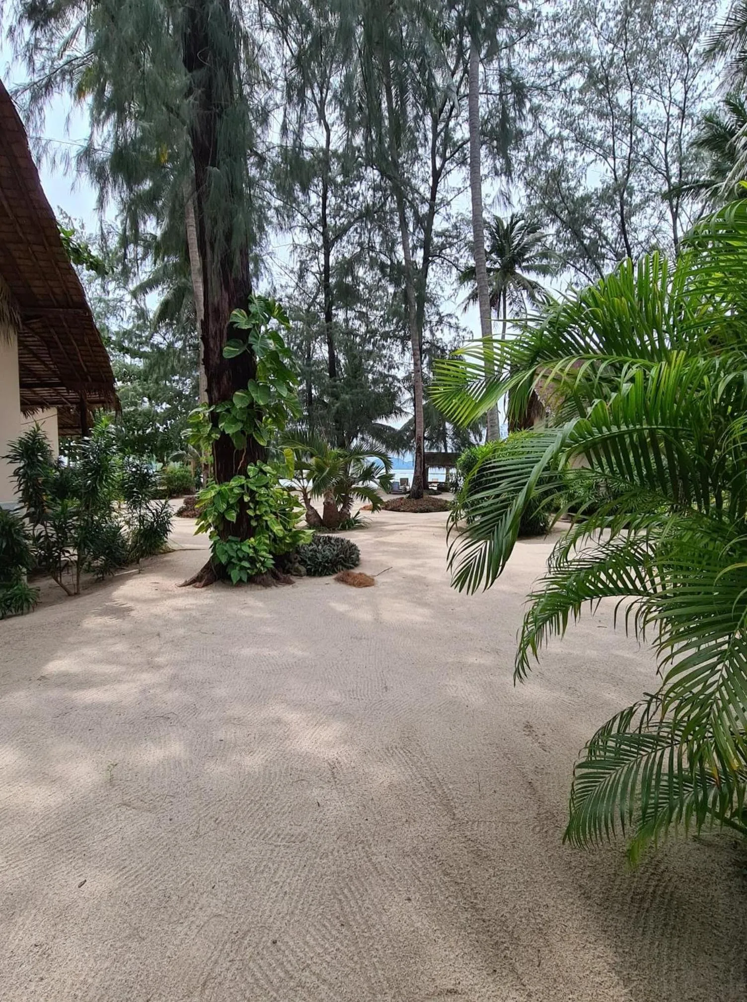 Property building in Angkana Bungalows adults only