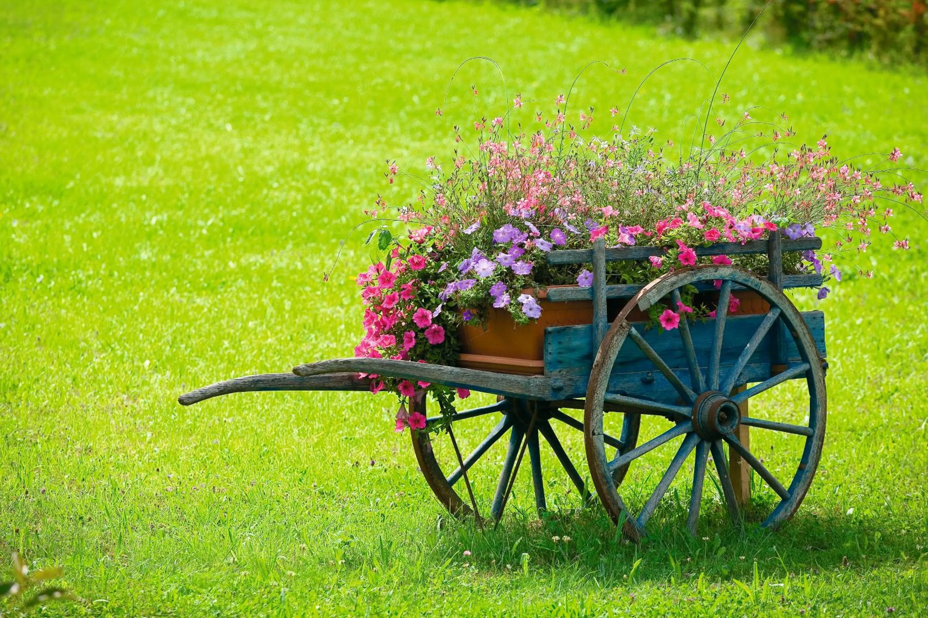 Garden in Logis Hôtel-Restaurant Le Relais