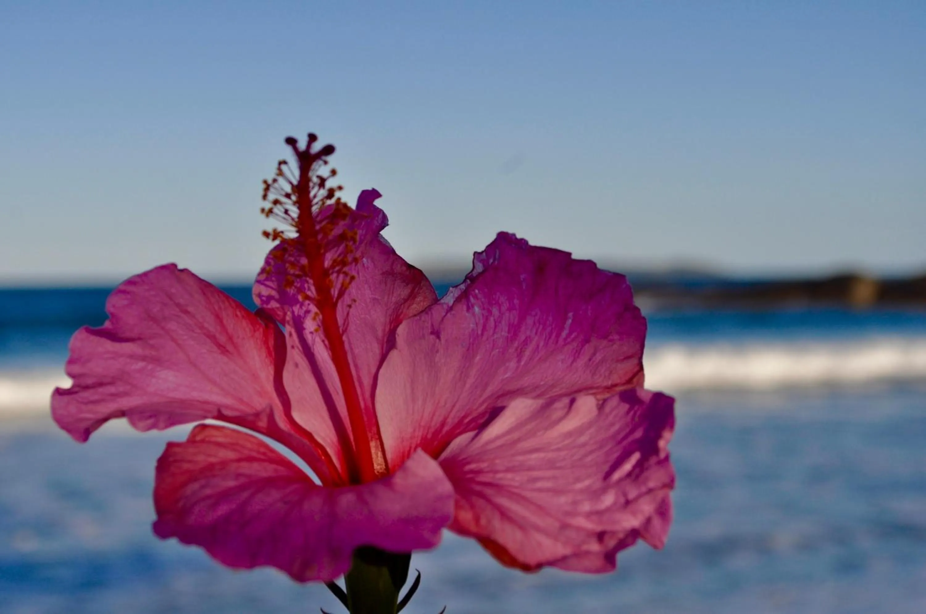 Property building in Pousada Albacora