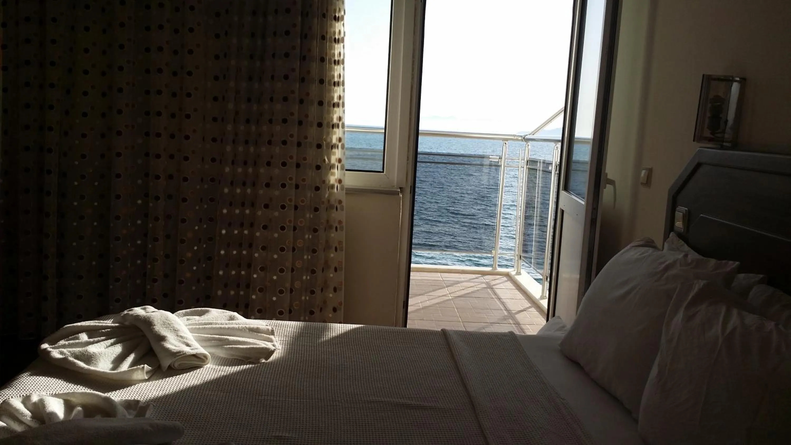 Balcony/Terrace in Hotel Berlin