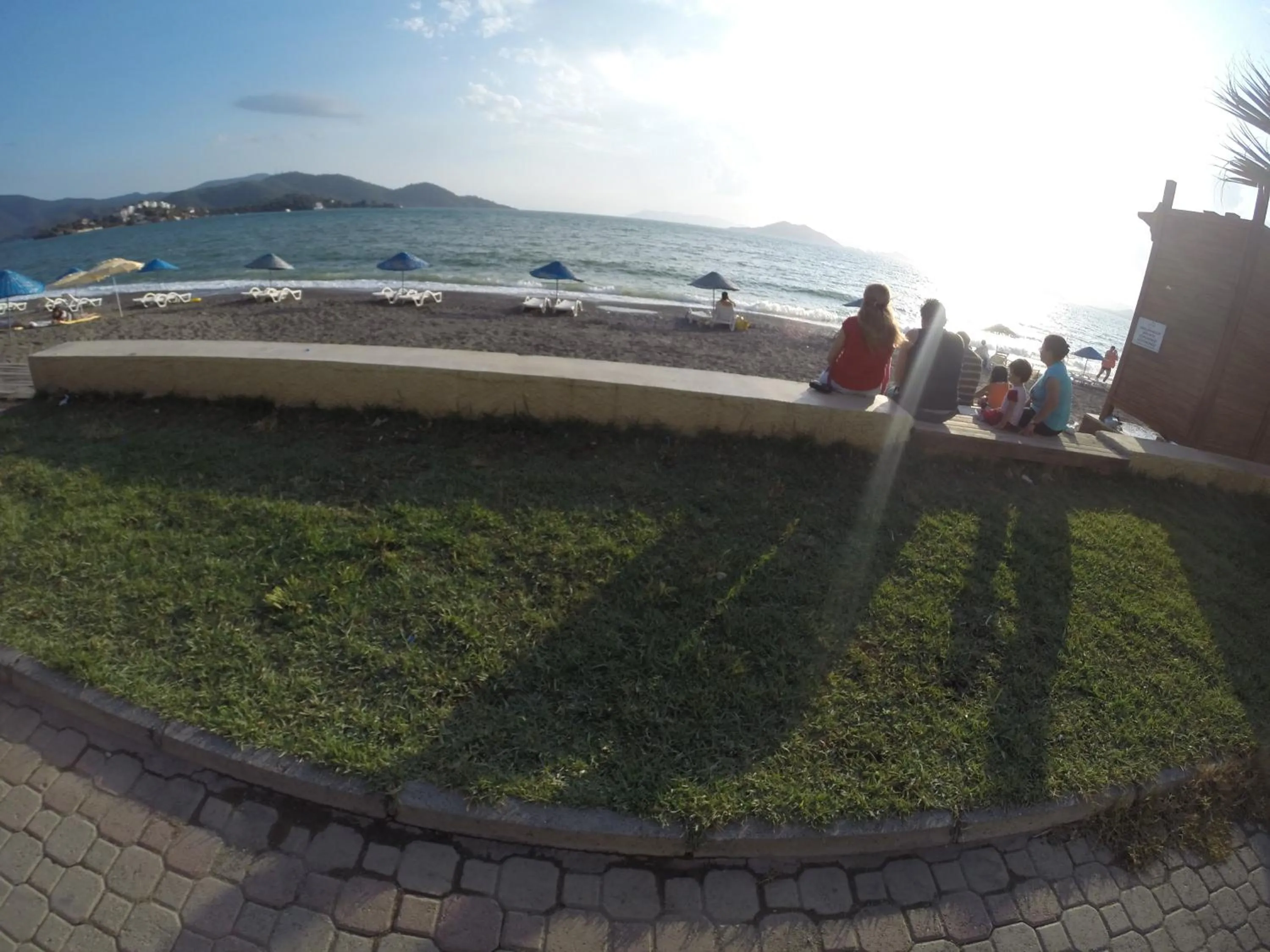 Garden in Hotel Berlin