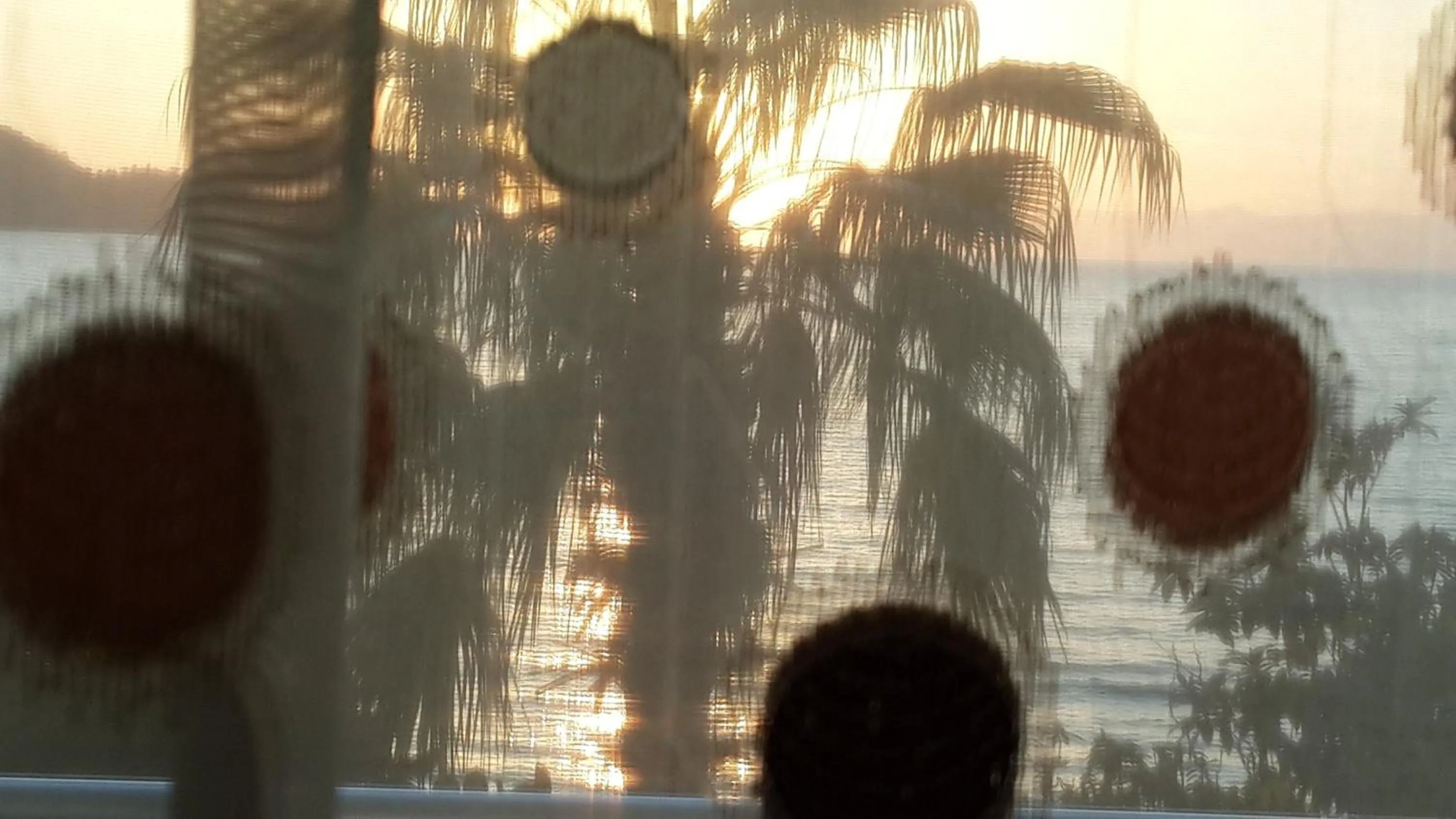 Balcony/Terrace in Hotel Berlin