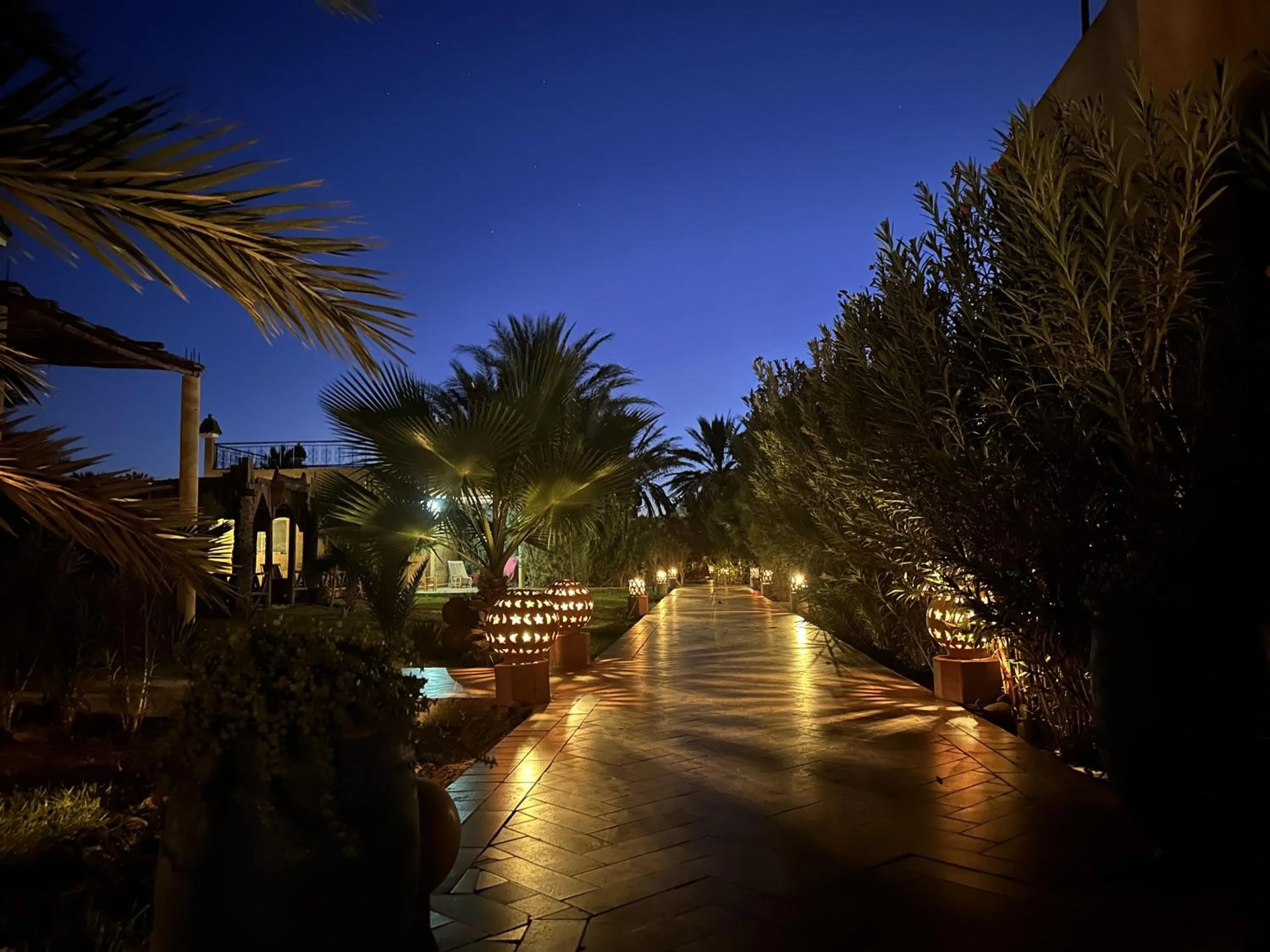 Night in Oasis Tilogui-Luxury Hotel Restaurant and Desert Excursions In Zagora