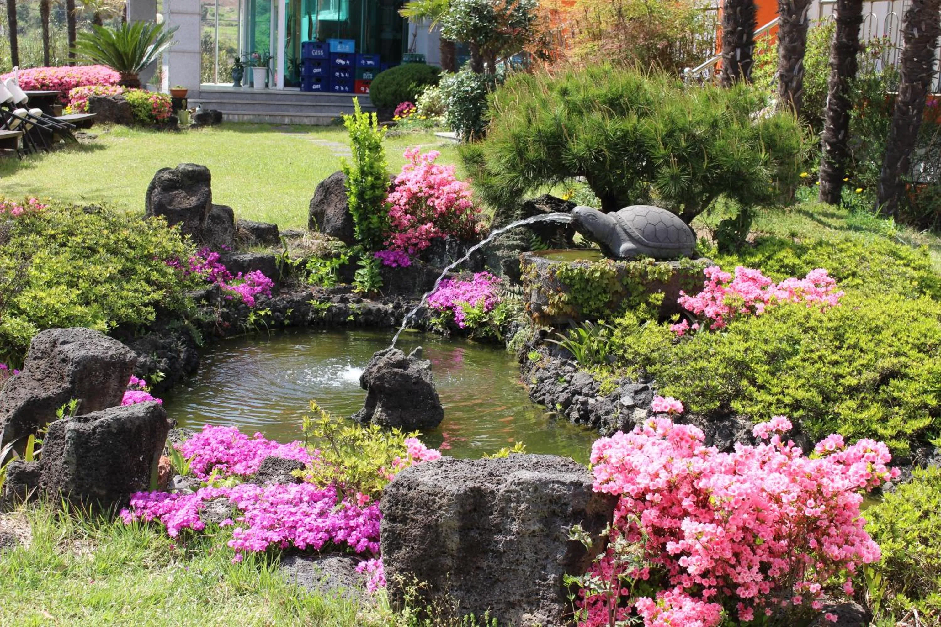Garden in Jeju Feel House