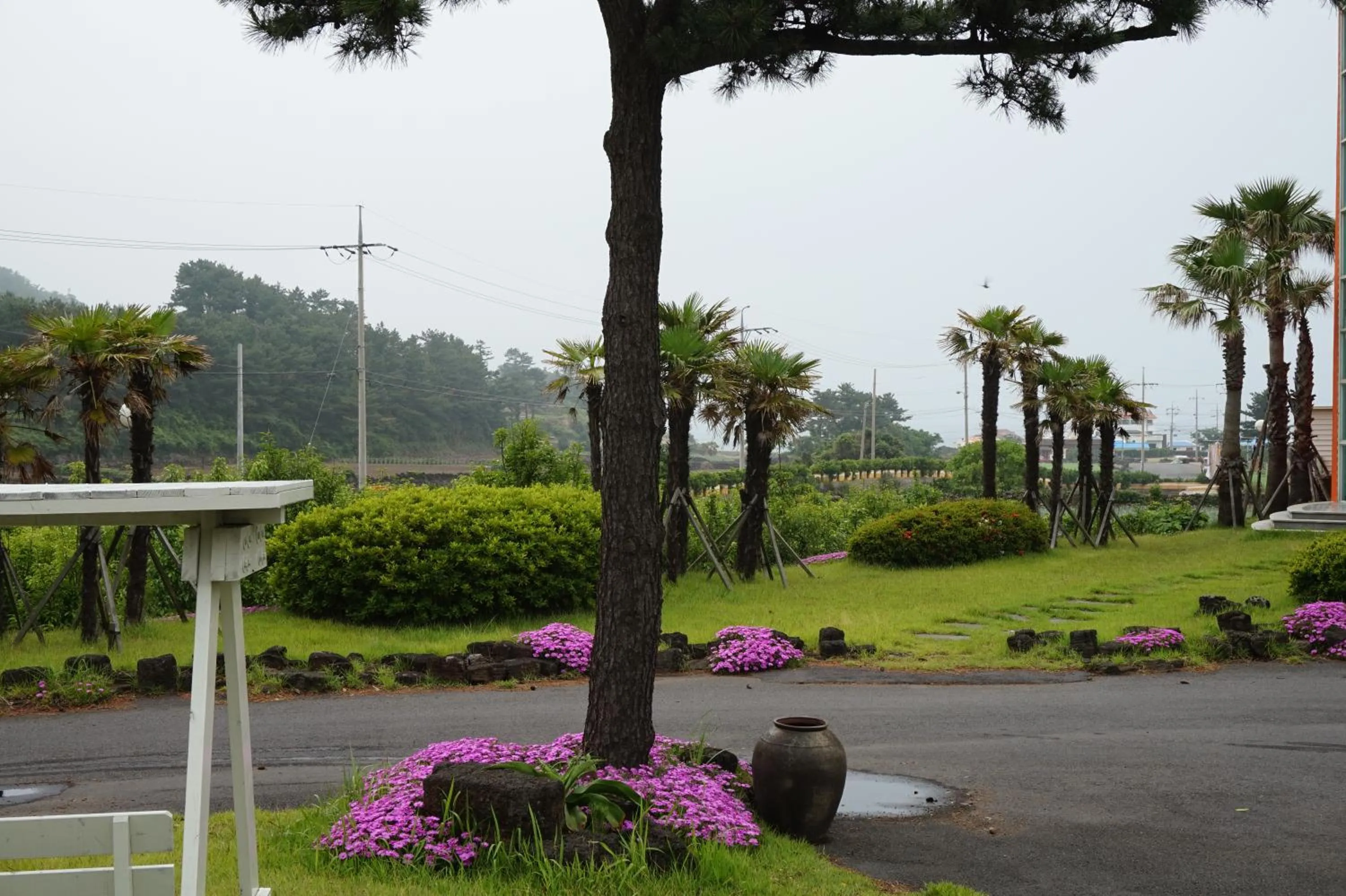 Garden in Jeju Feel House