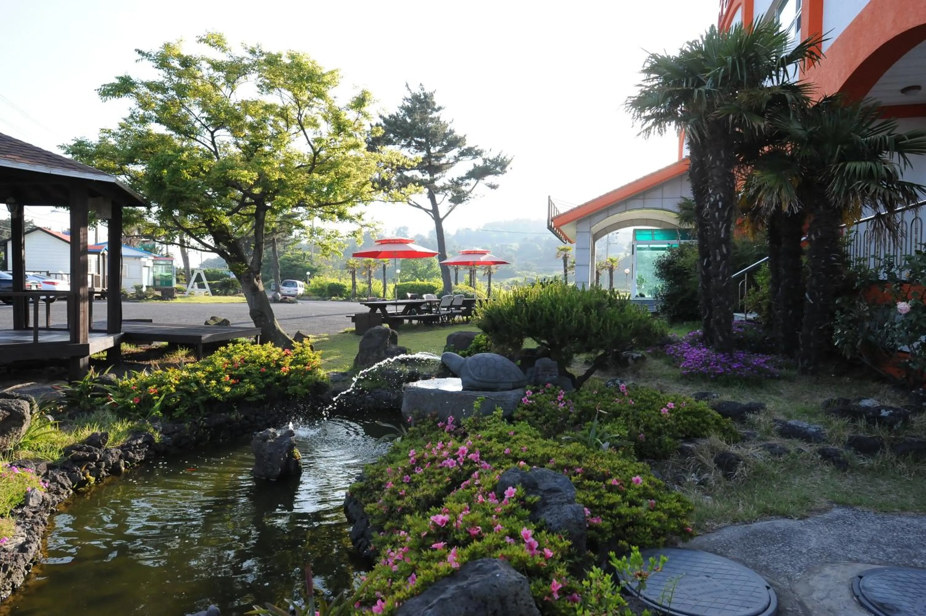 Garden in Jeju Feel House