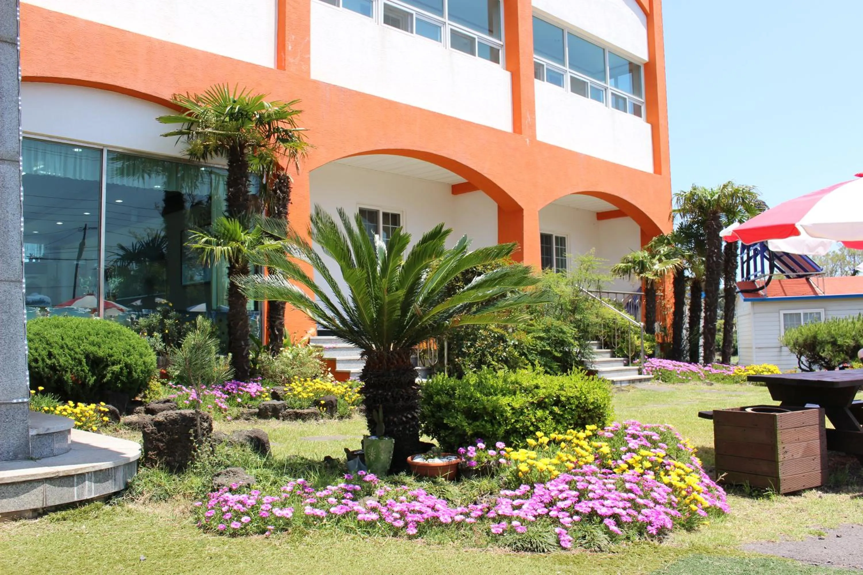 Garden in Jeju Feel House