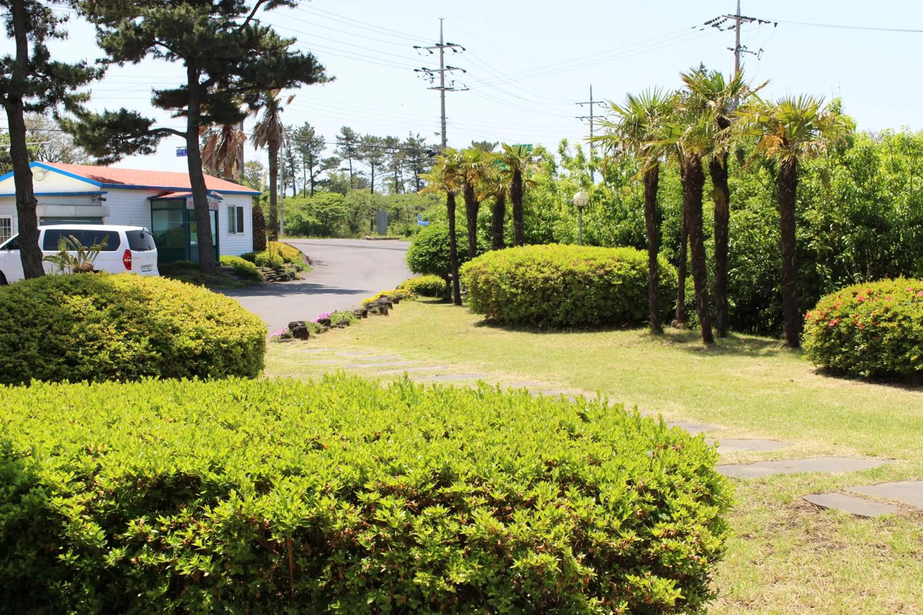 Garden in Jeju Feel House