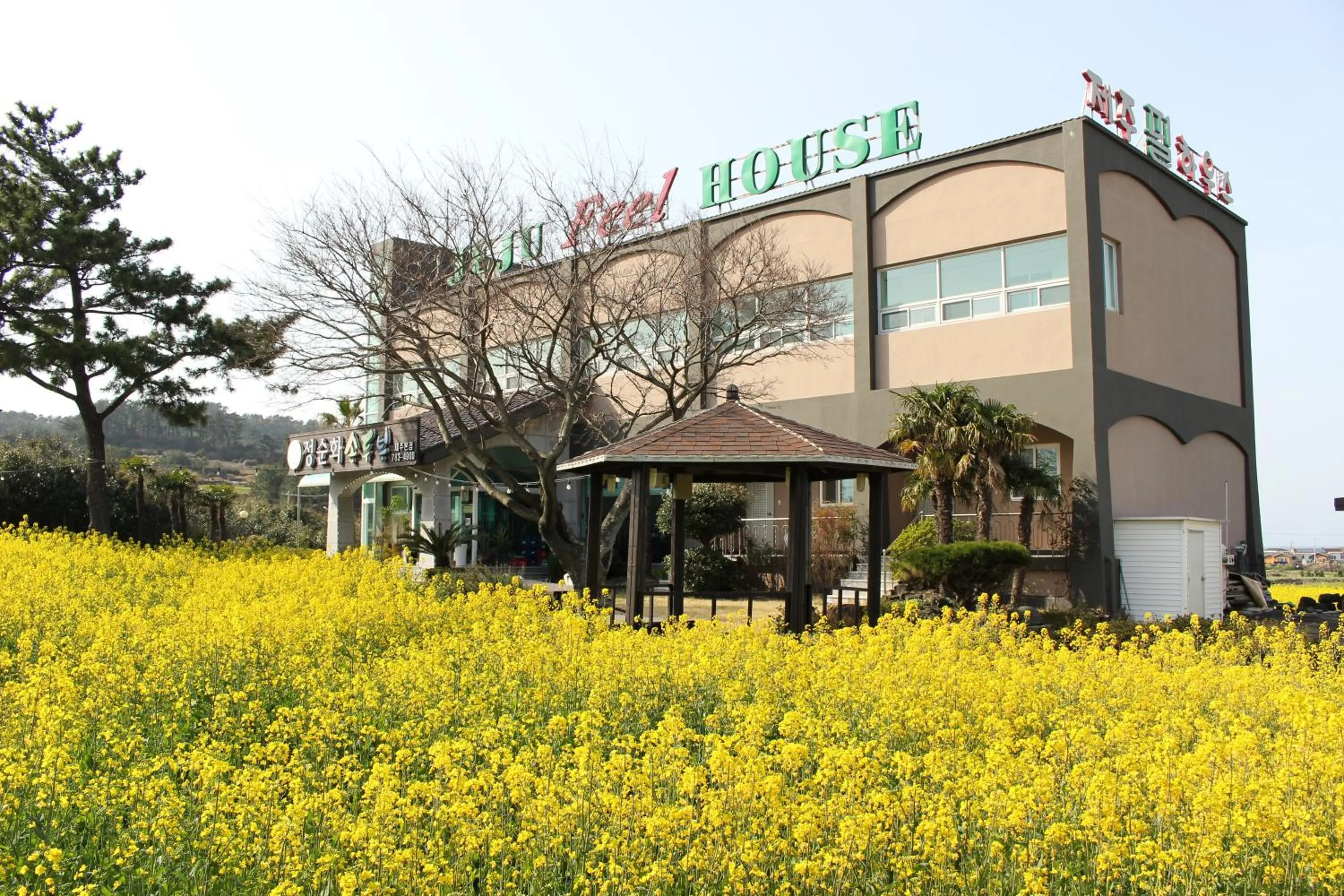 Property building in Jeju Feel House