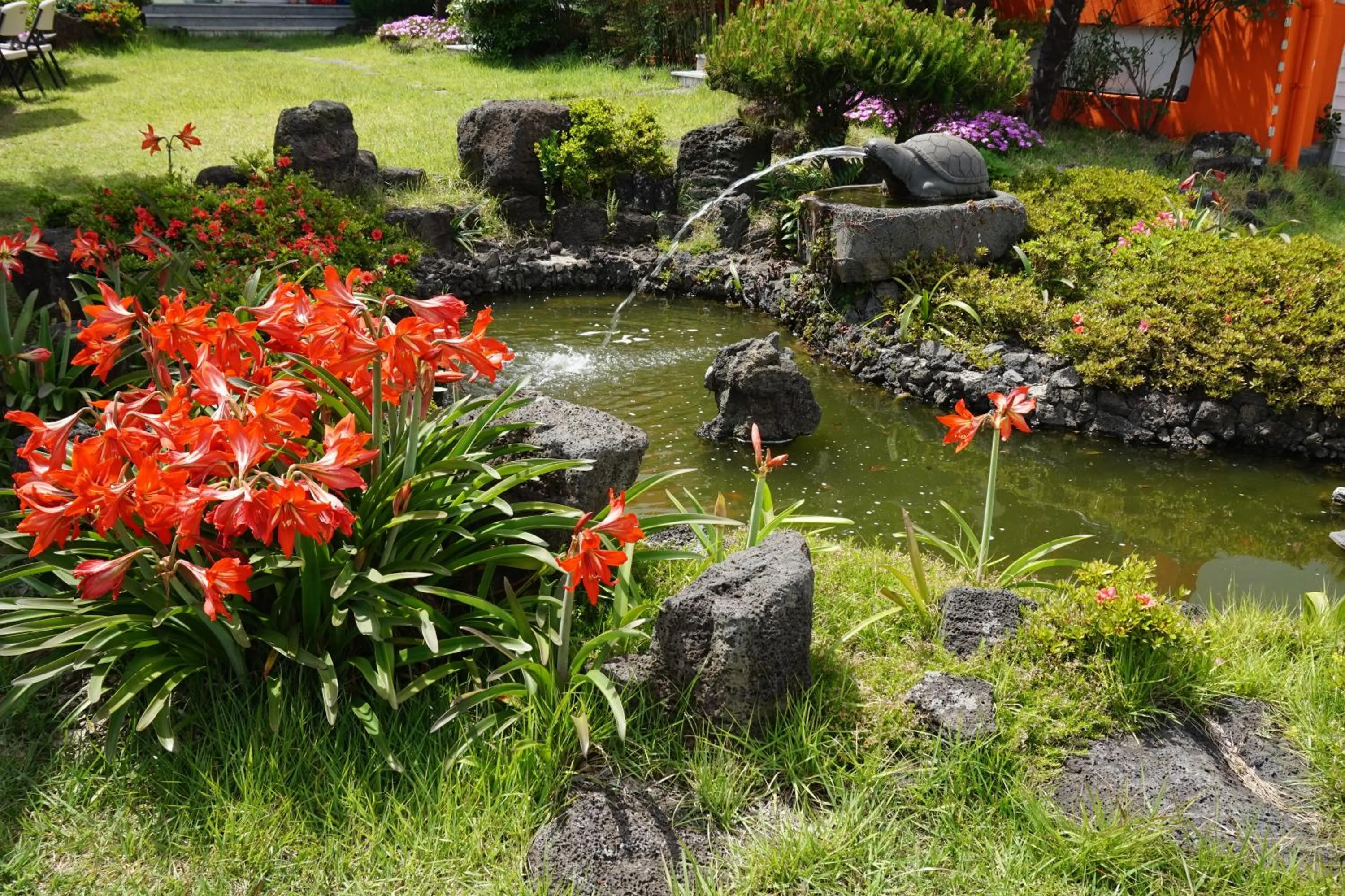 Garden in Jeju Feel House