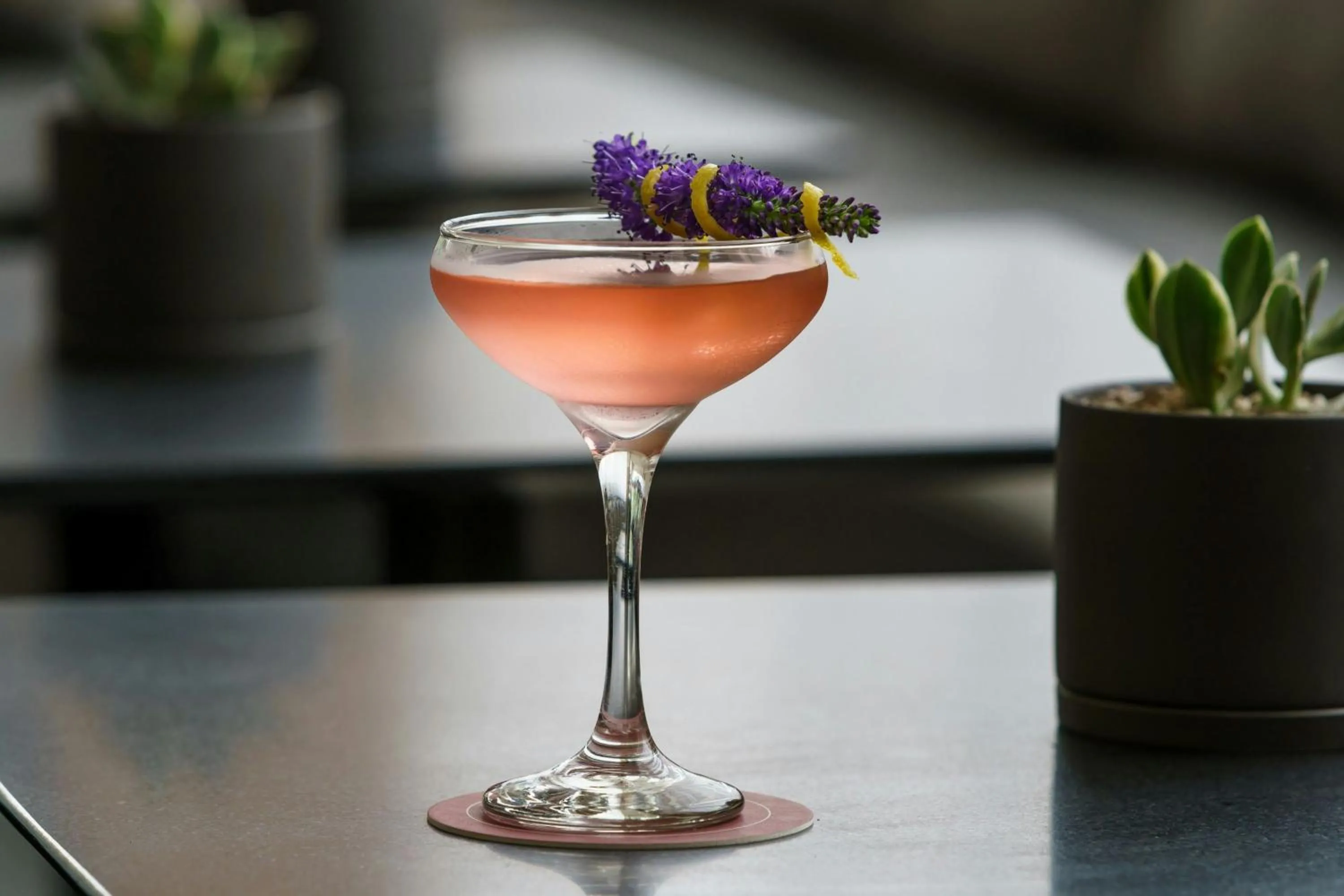 Restaurant/places to eat in AC Hotel by Marriott Bethesda Downtown