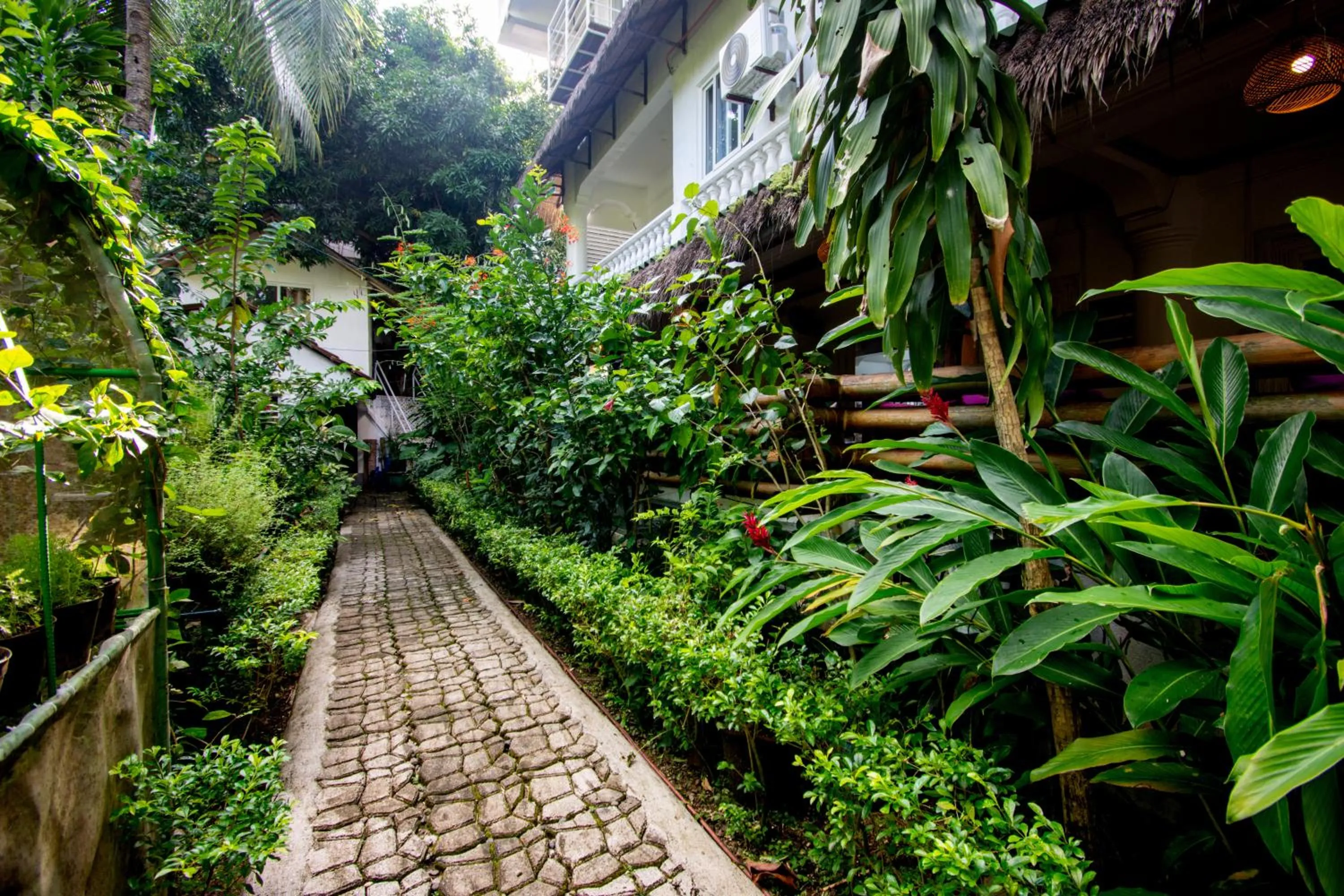 Garden in Lanterna Hotel Boracay