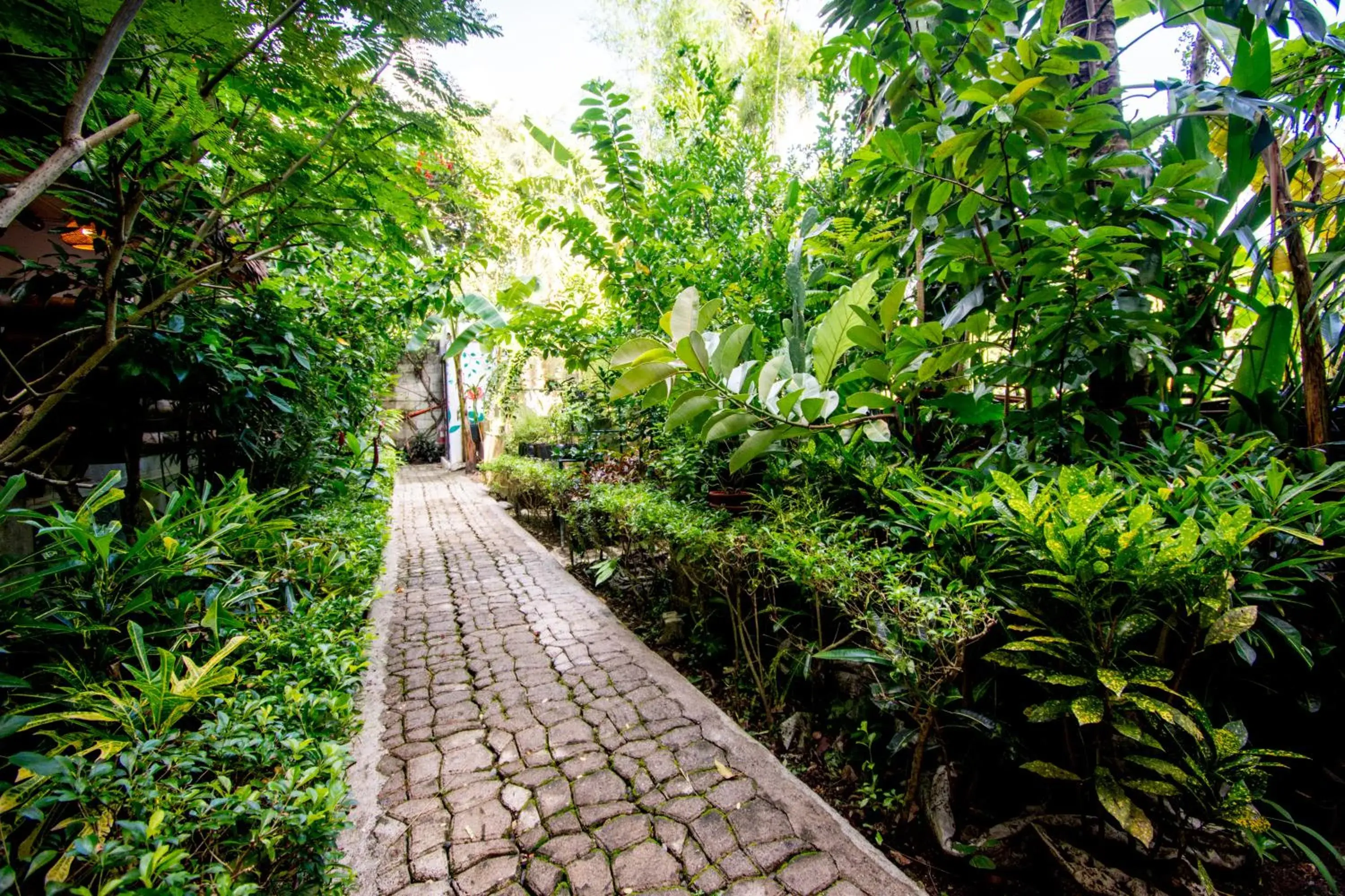 Lanterna Hotel Boracay Lanterna Hotel Boracay