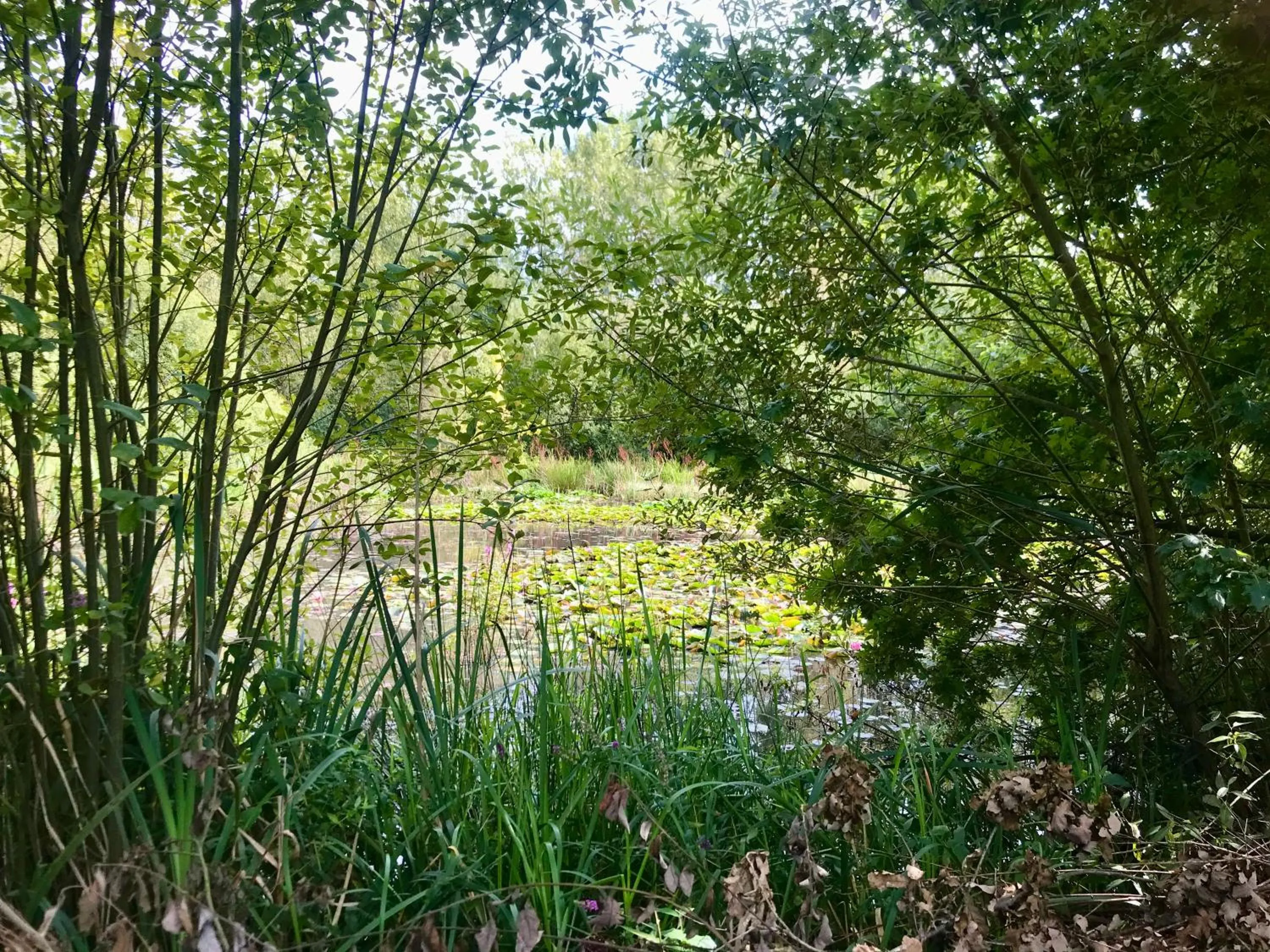 Natural landscape in Eikenburg B&B