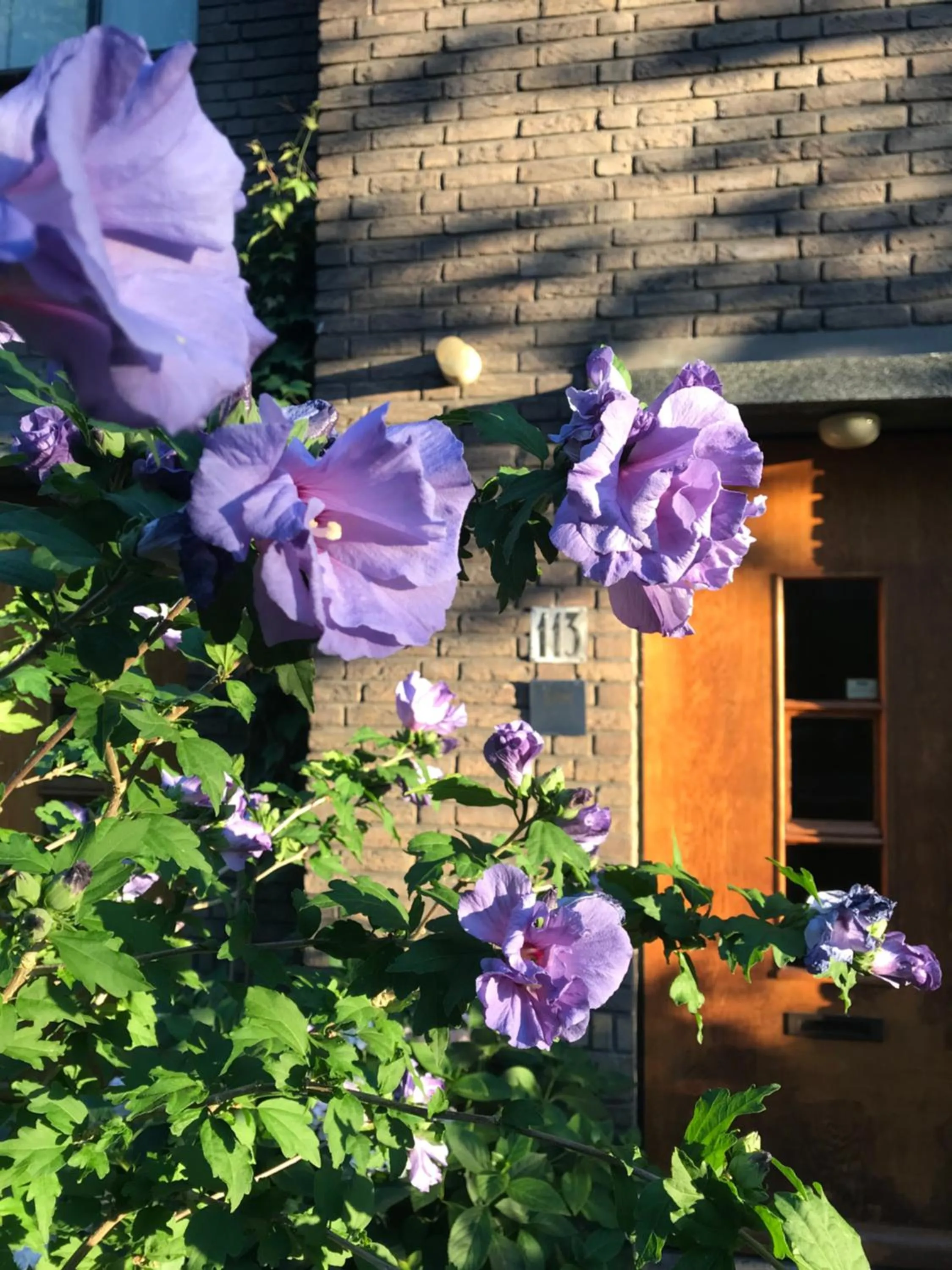 Property building in Eikenburg B&B