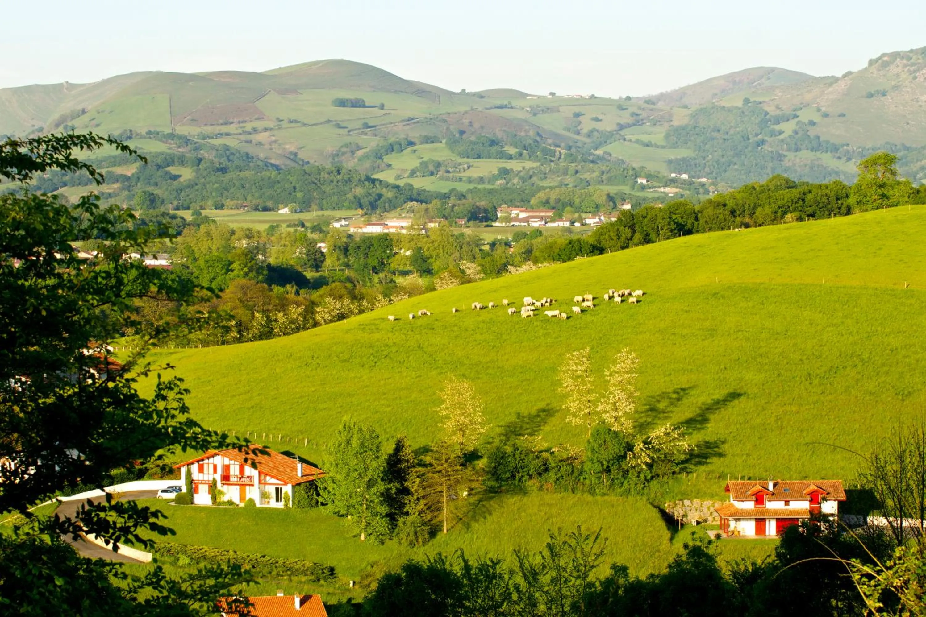Area and facilities in Chambres d'Hôtes Garicoitz