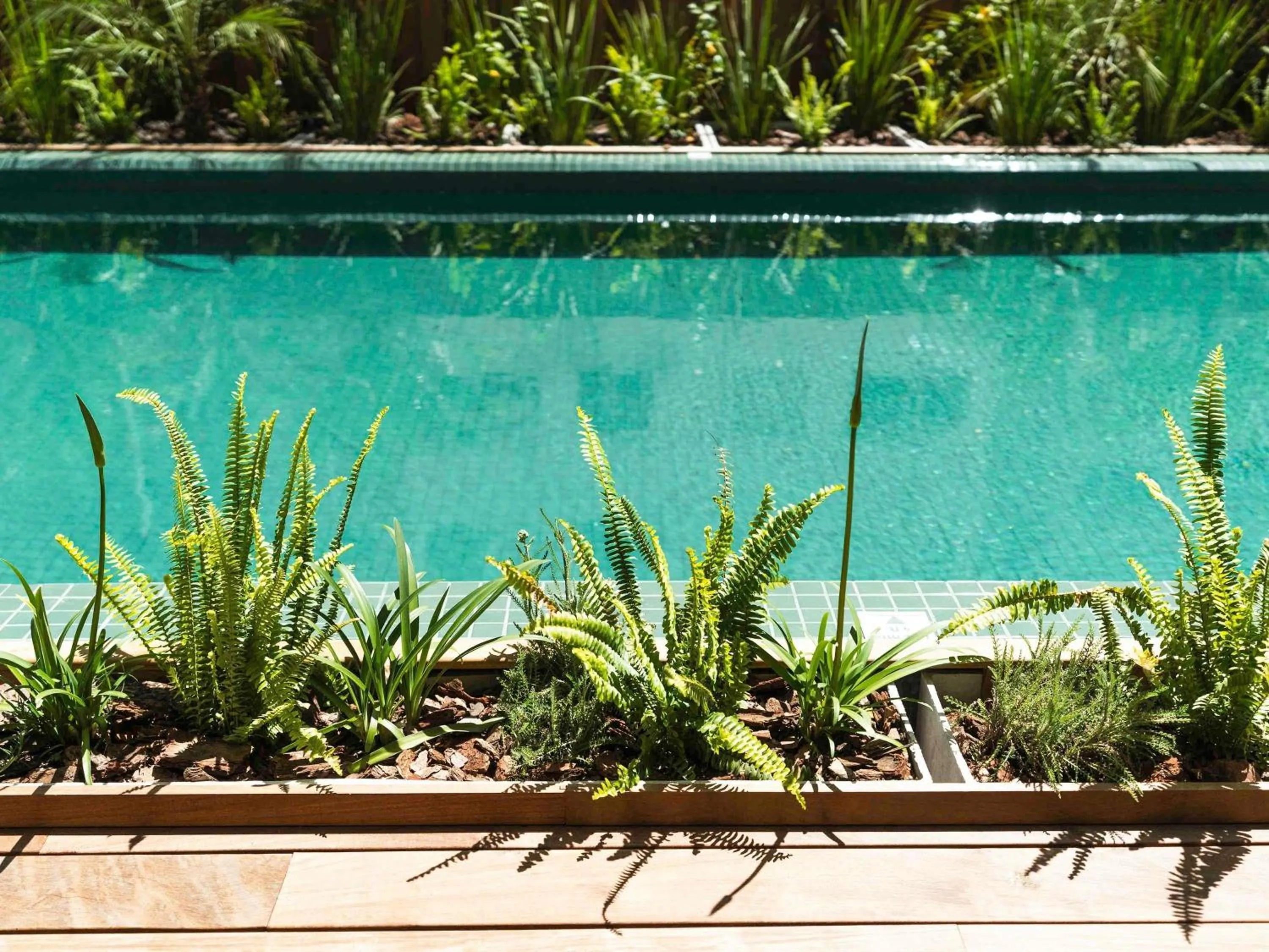 Pool view in Costanero Hotel Montevideo - MGallery Collection