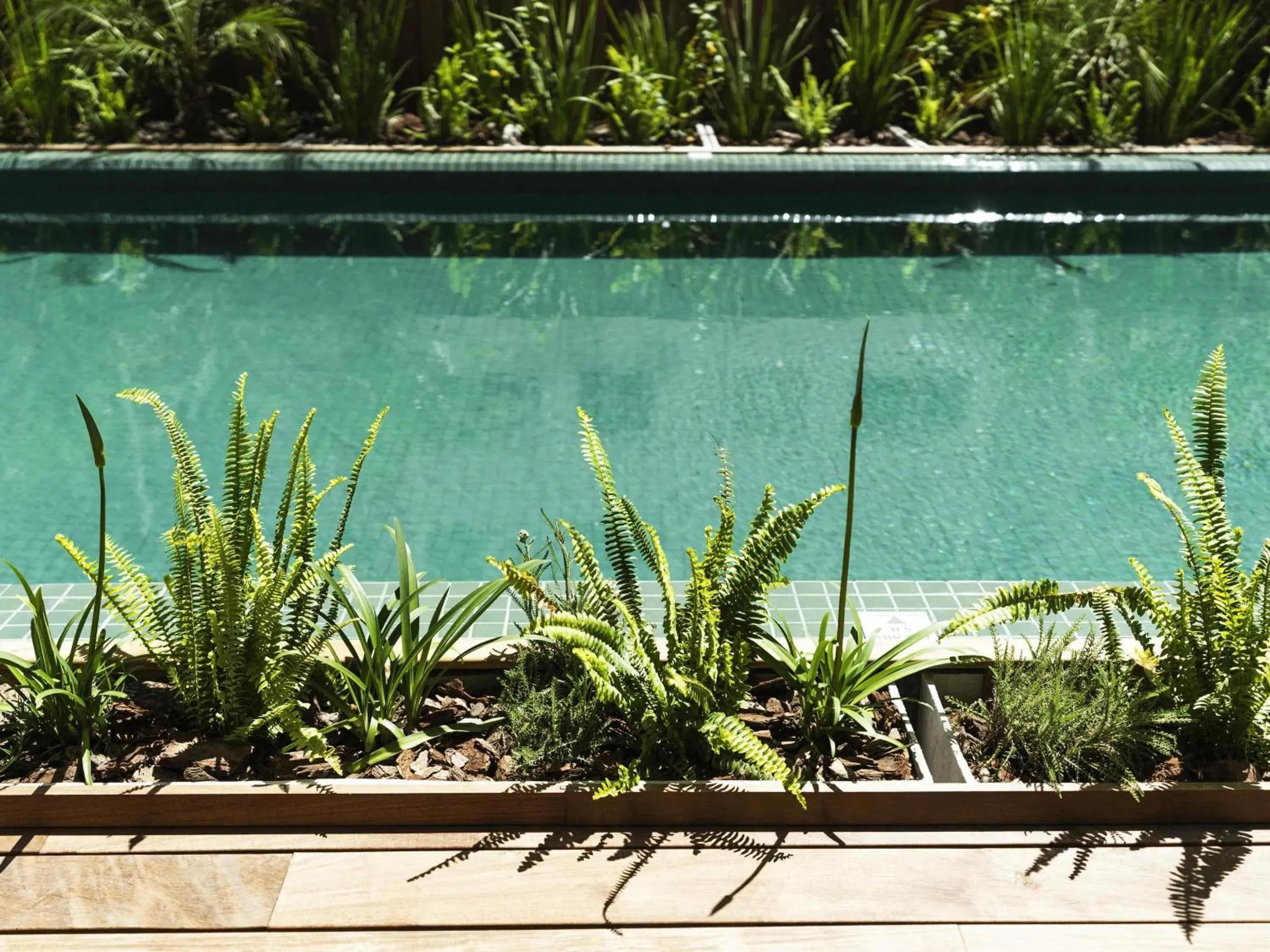 Pool view in Costanero Hotel Montevideo - MGallery Collection Pool view in Costanero Hotel Montevideo - MGallery Collection