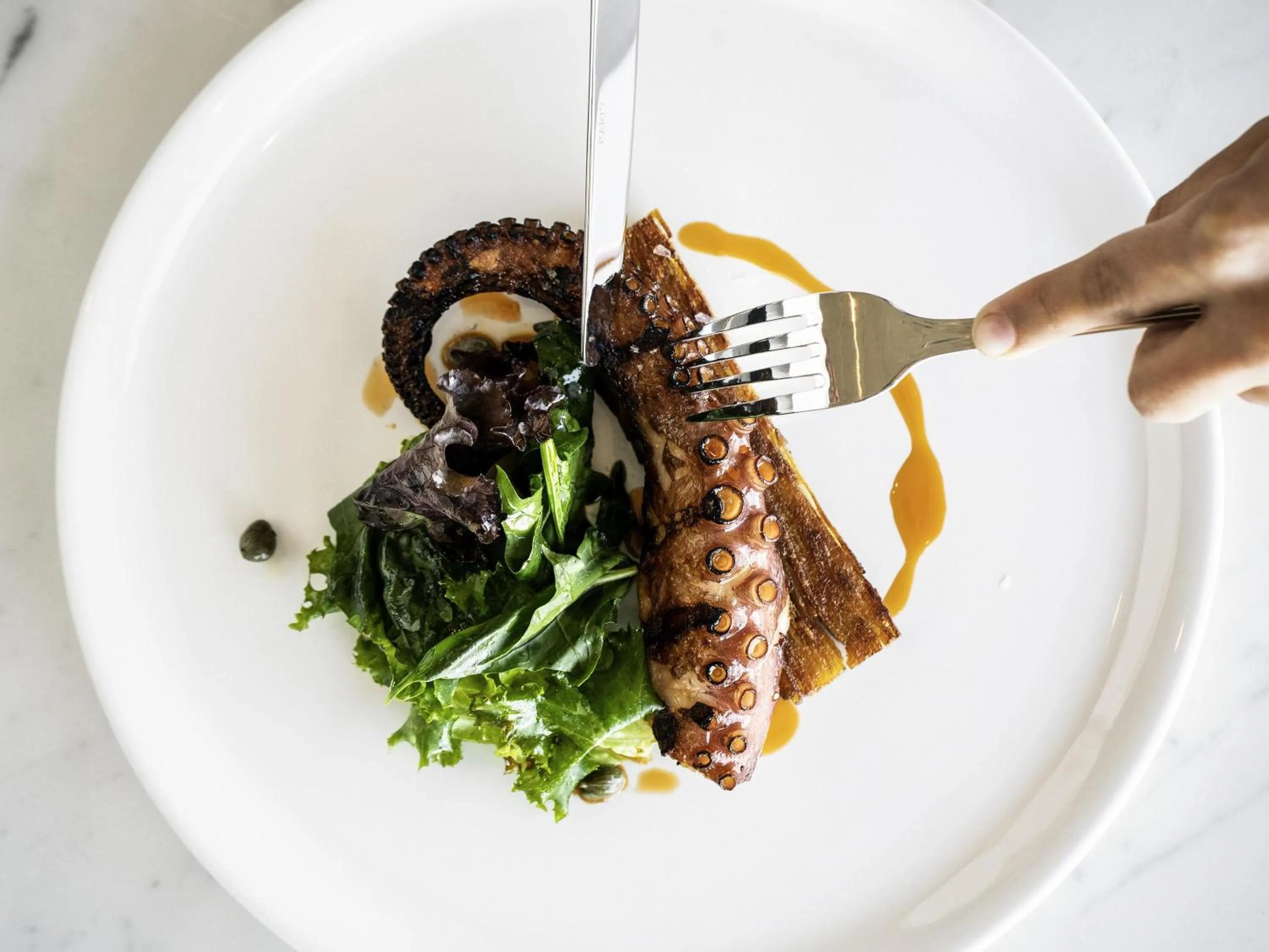 Restaurant/places to eat in Costanero Hotel Montevideo - MGallery Collection