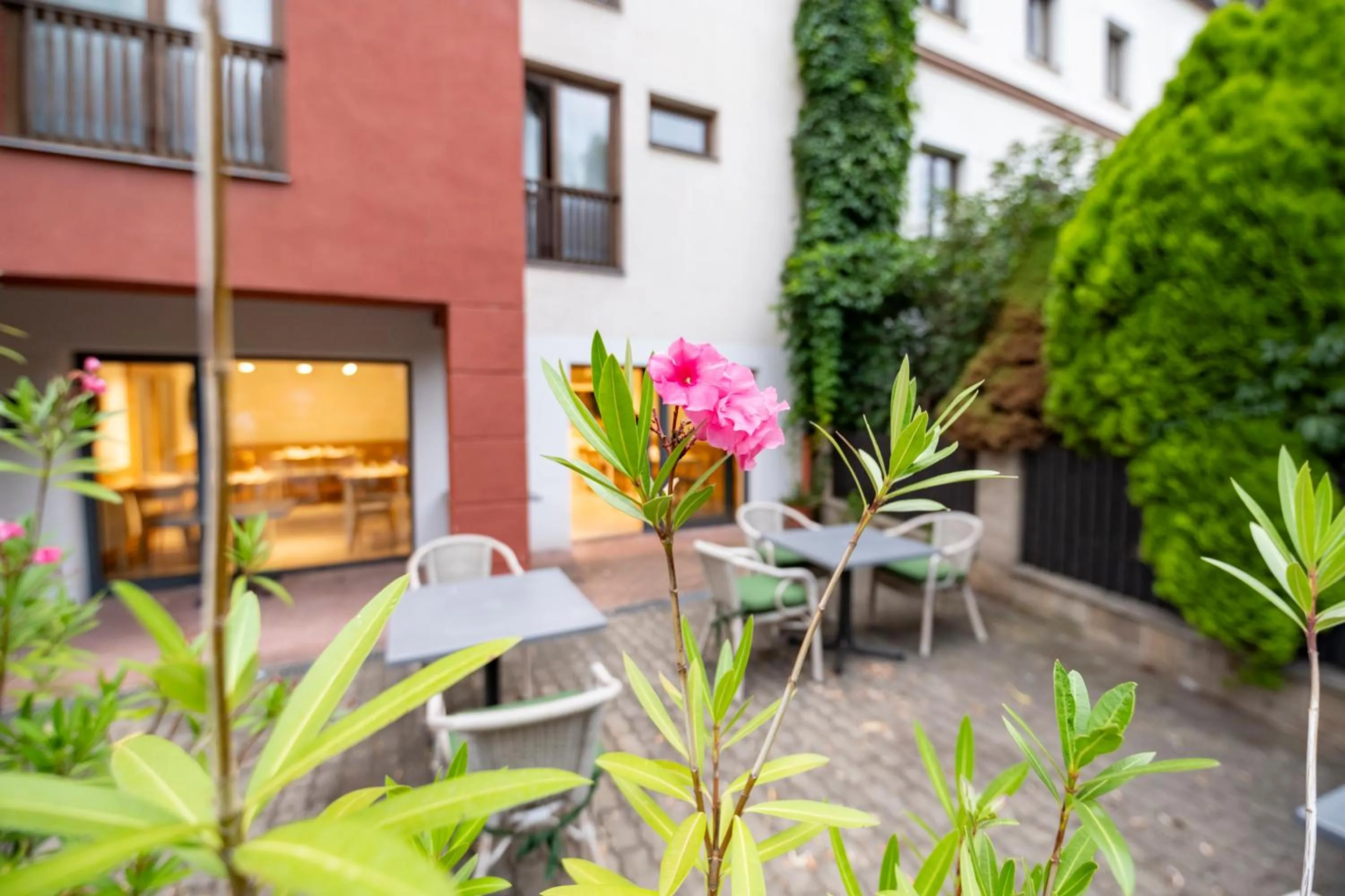 Property building in Aparthotel Faust