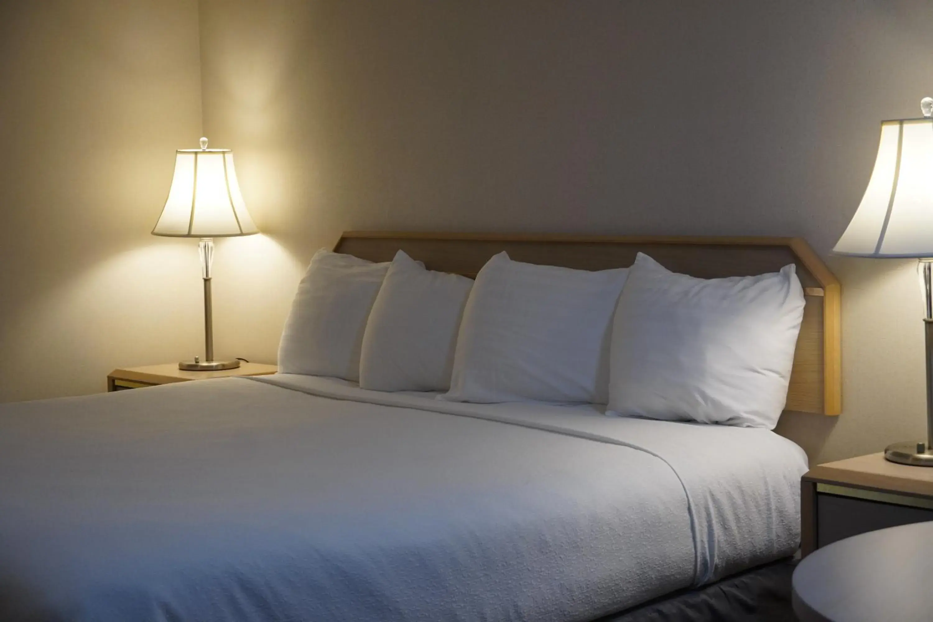 King Room in Timberland Inn & Suites King Room in Timberland Inn & Suites