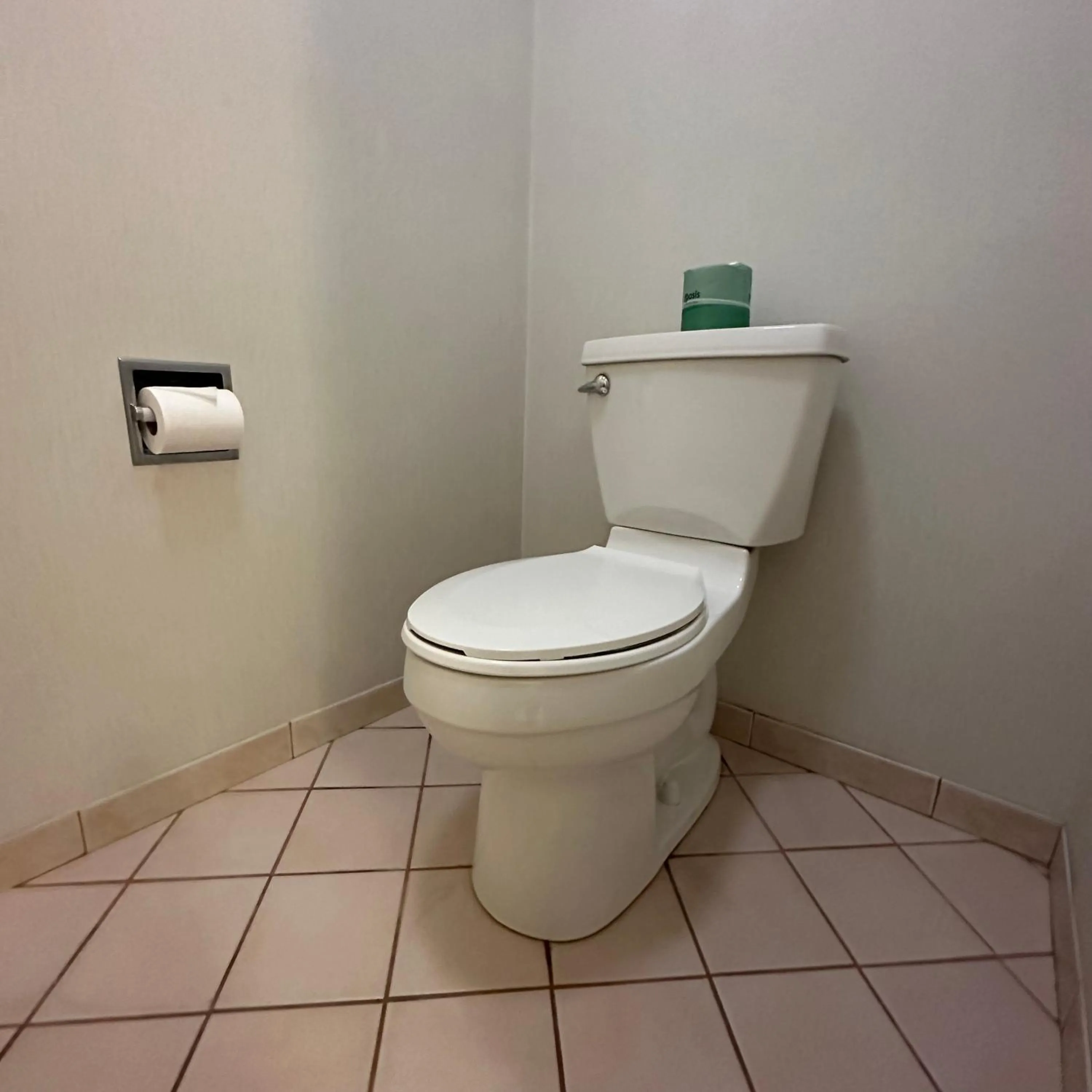Toilet in Timberland Inn & Suites