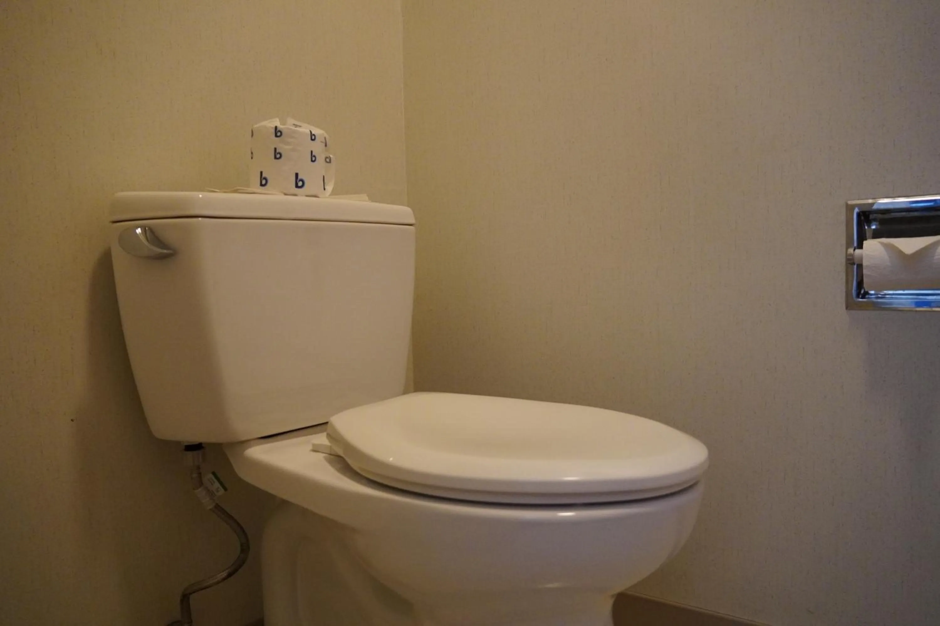 Toilet in Timberland Inn & Suites