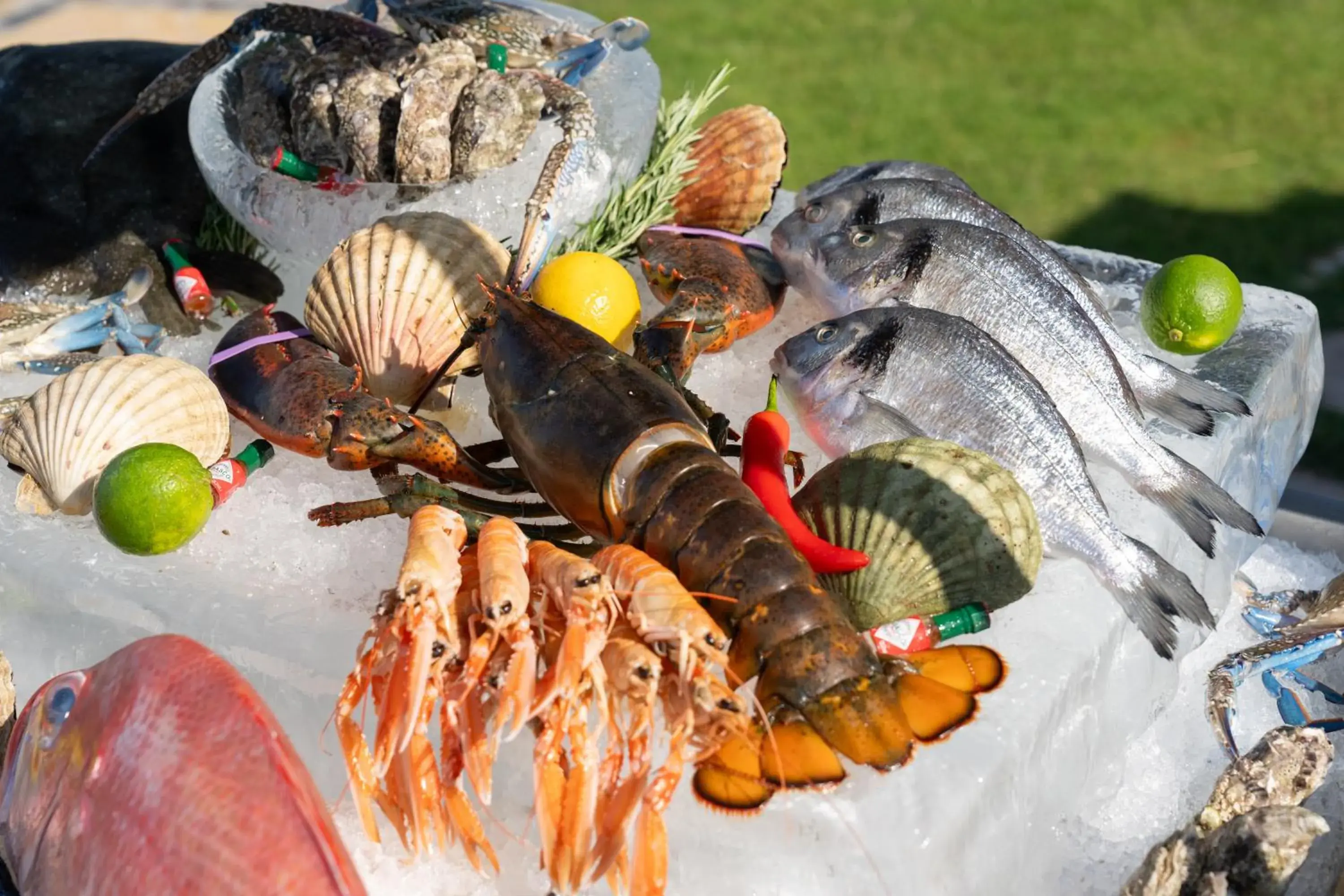 Restaurant/places to eat in Rixos Al Mairid Ras Al Khaimah - Ultra All Inclusive Restaurant/places to eat in Rixos Al Mairid Ras Al Khaimah - Ultra All Inclusive