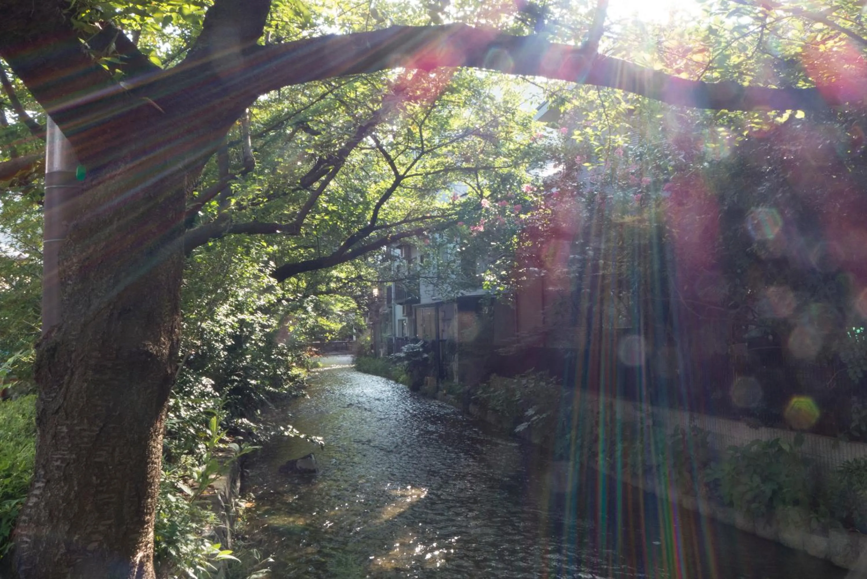 Nearby landmark in Bijuu