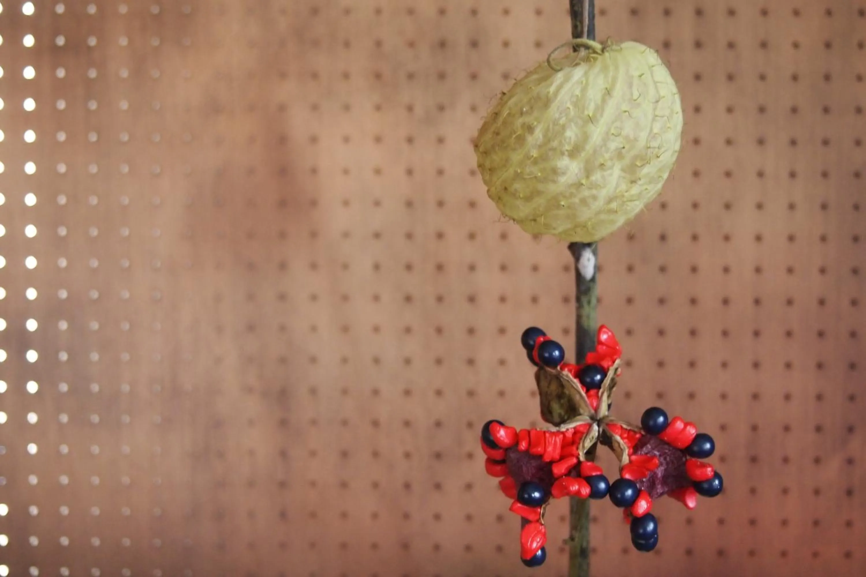 Photo of the whole room in Bijuu