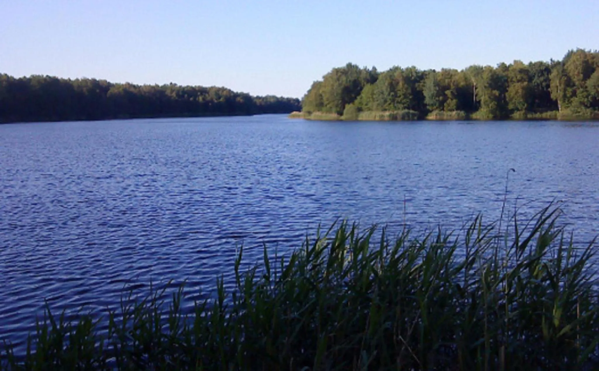 Natural landscape in Hotel Thünenhof