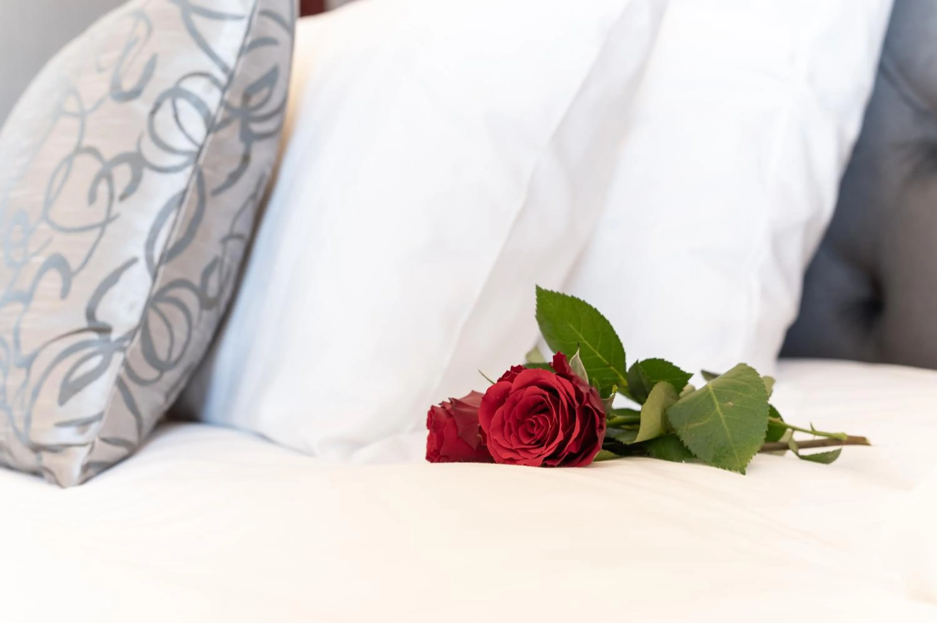 Decorative detail, Bed in Hotel Dali Val d'Europe, Tapestry Collection by Hilton