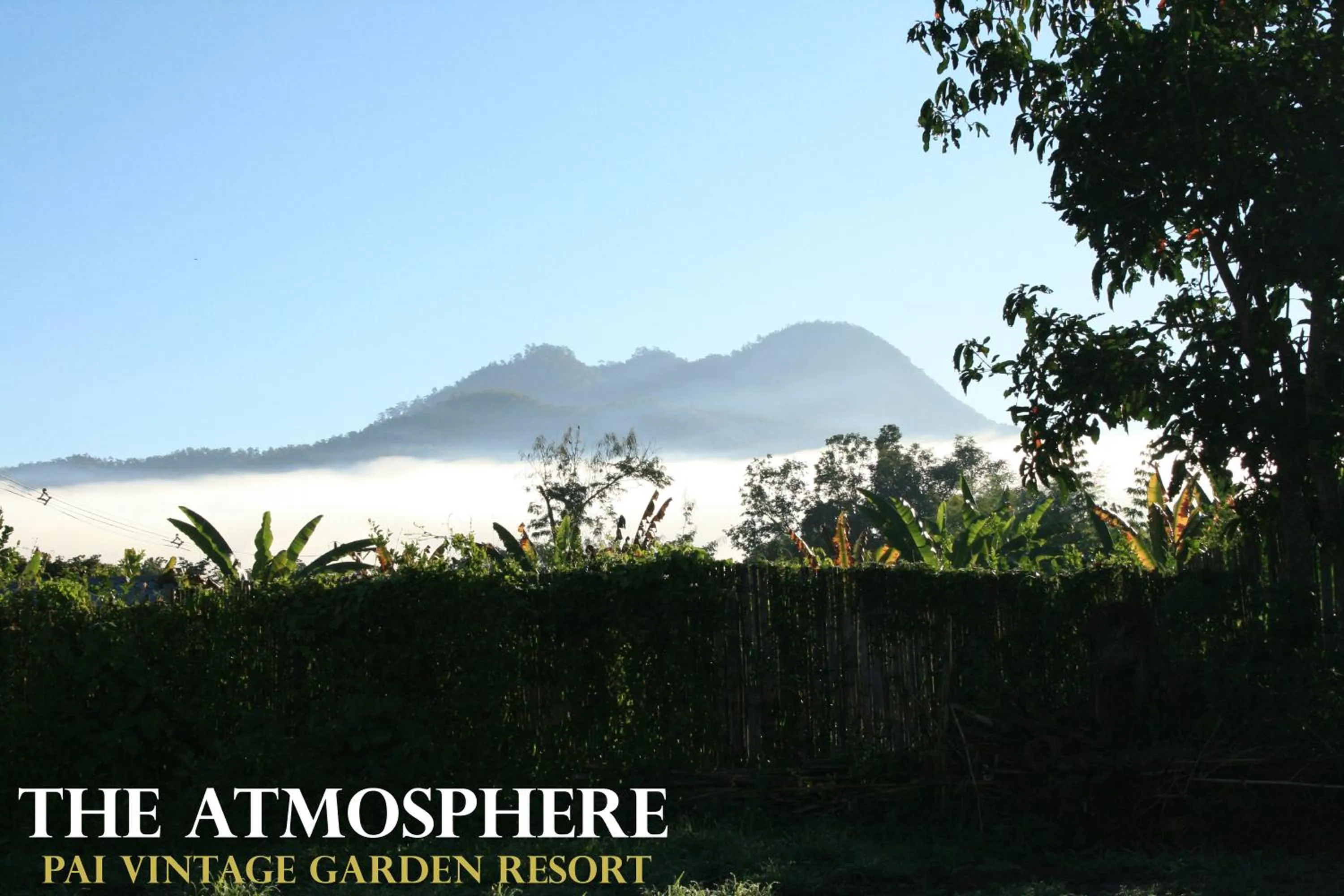 View (from property/room) in Pai Vintage Garden Resort