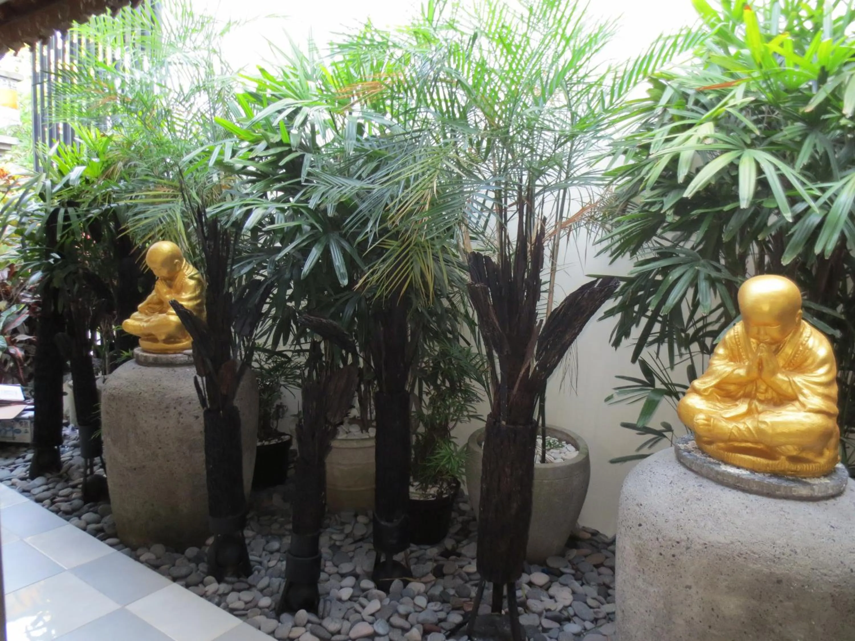 Garden in Putri Homestay