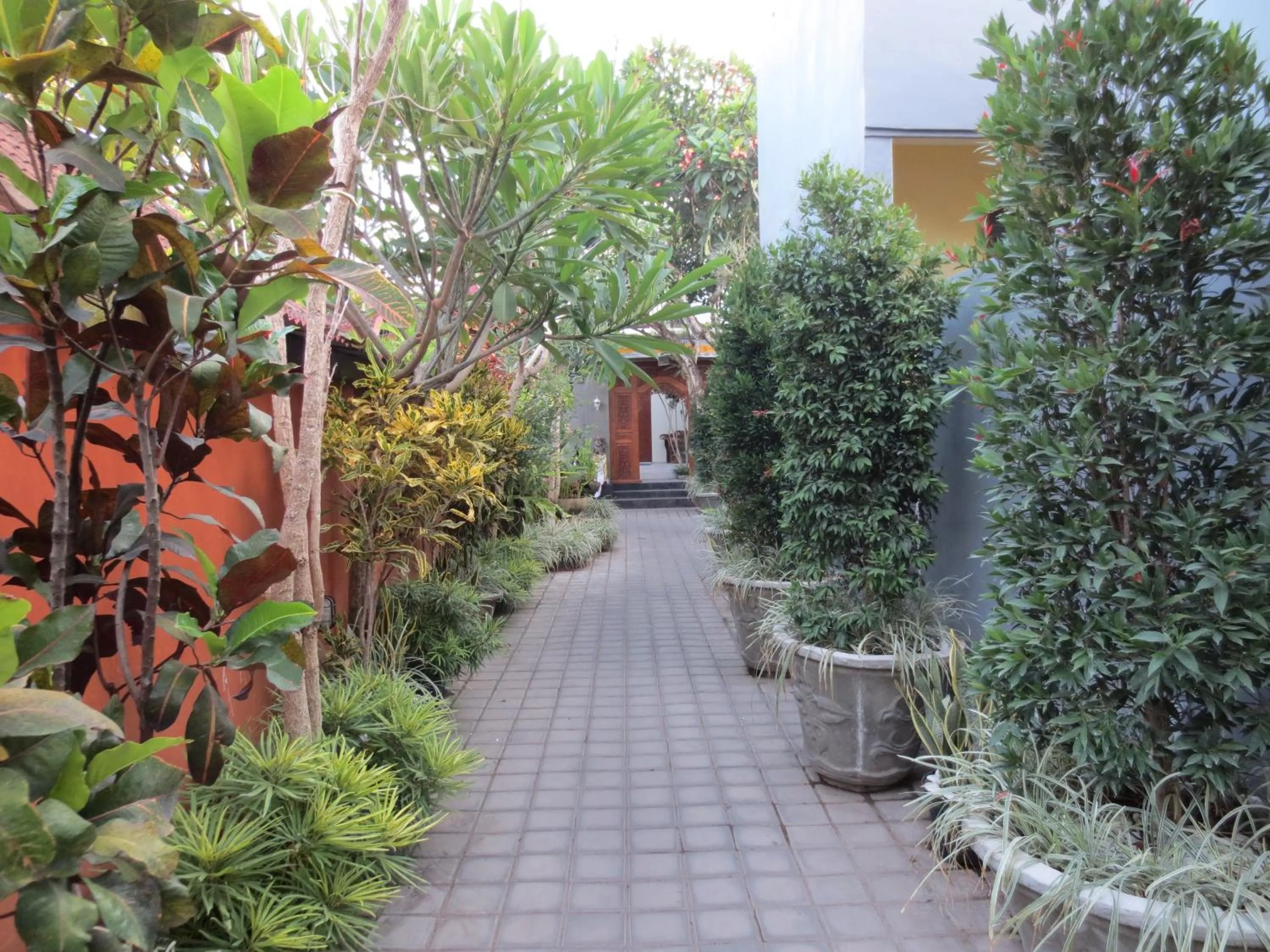 Garden in Putri Homestay