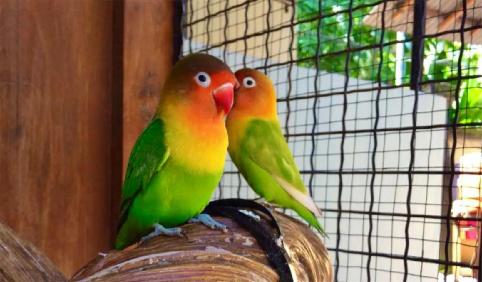 Property building in Villa Naga Maya