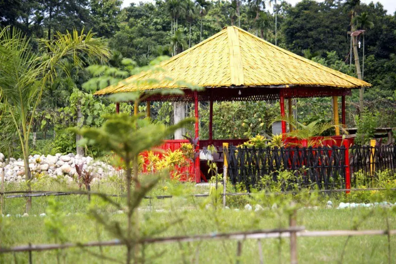 Restaurant/places to eat in Jungle Bell Resort Restaurant/places to eat in Jungle Bell Resort