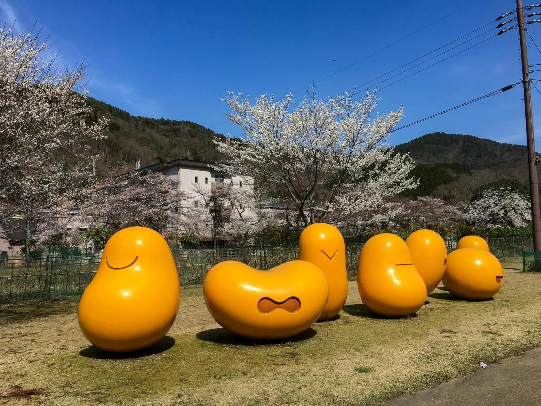 Hatake no Oyado - Vacation STAY 74494v